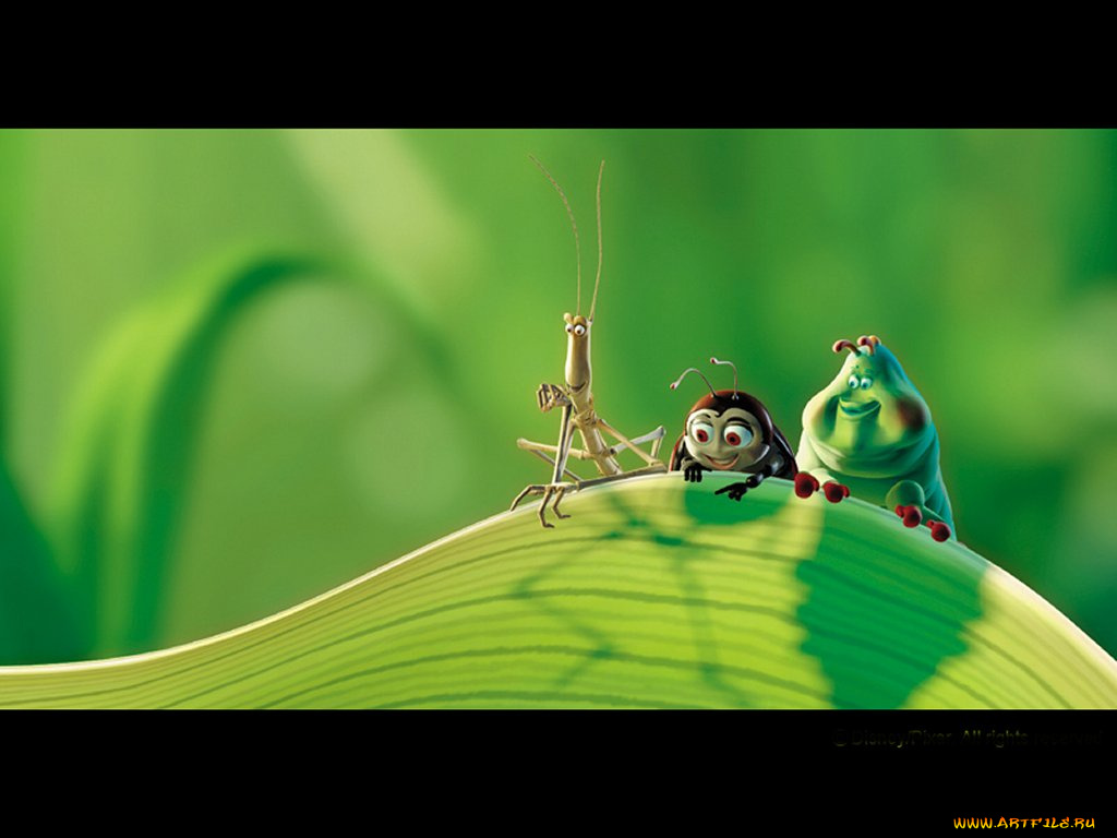 мультфильмы, bugs, life