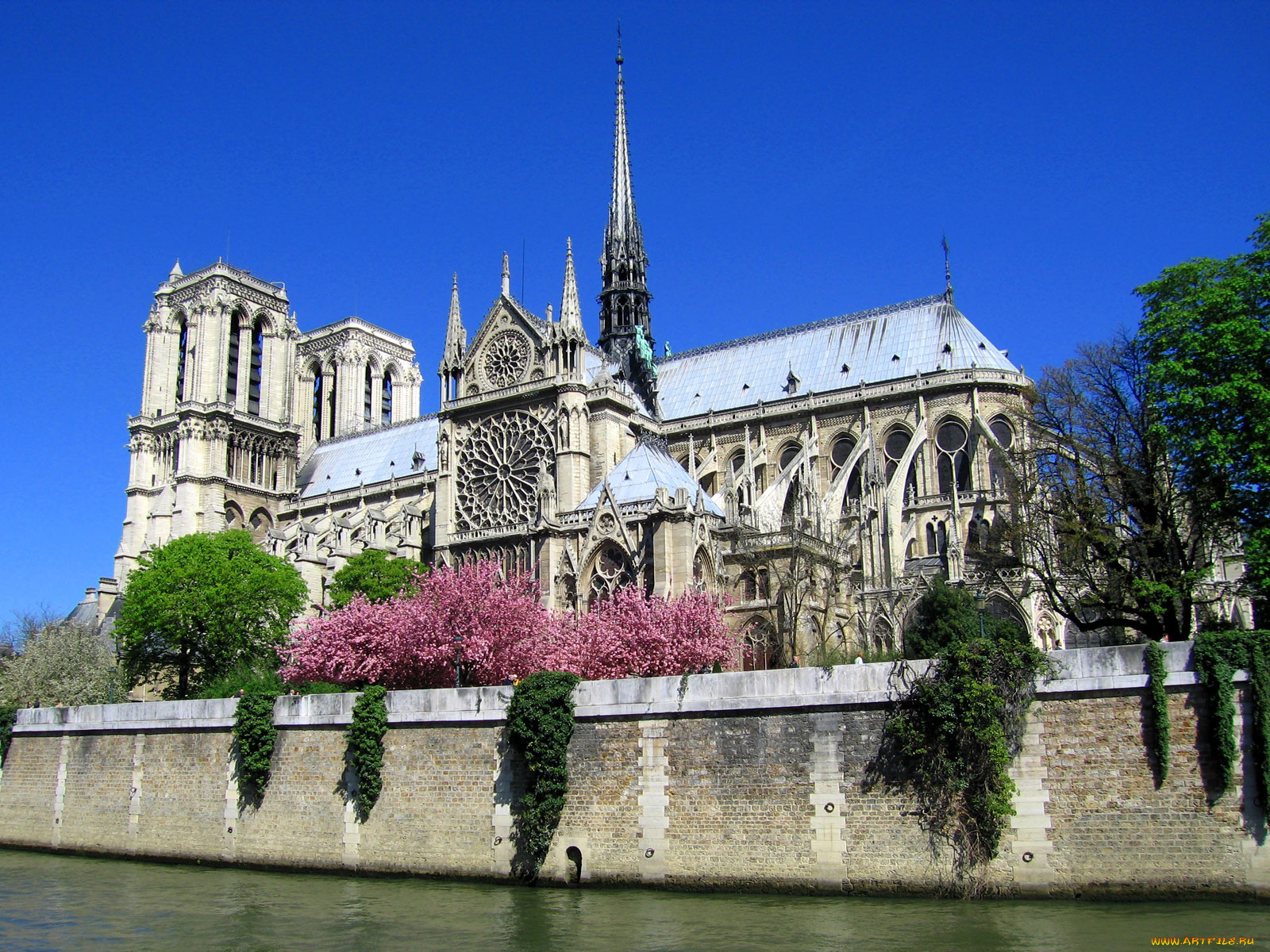 notre, dame, de, paris, города, париж, франция