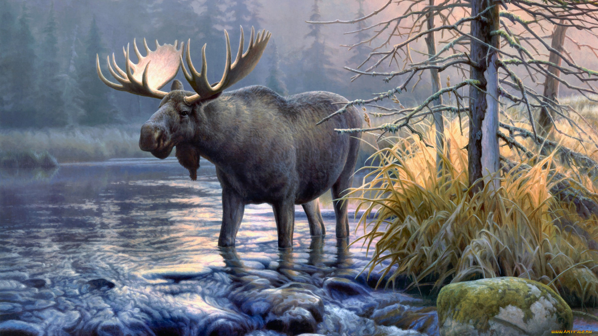 power, in, the, mist, рисованные, greg, alexander, stream, sunrise, forest, elk, moose, painting, river