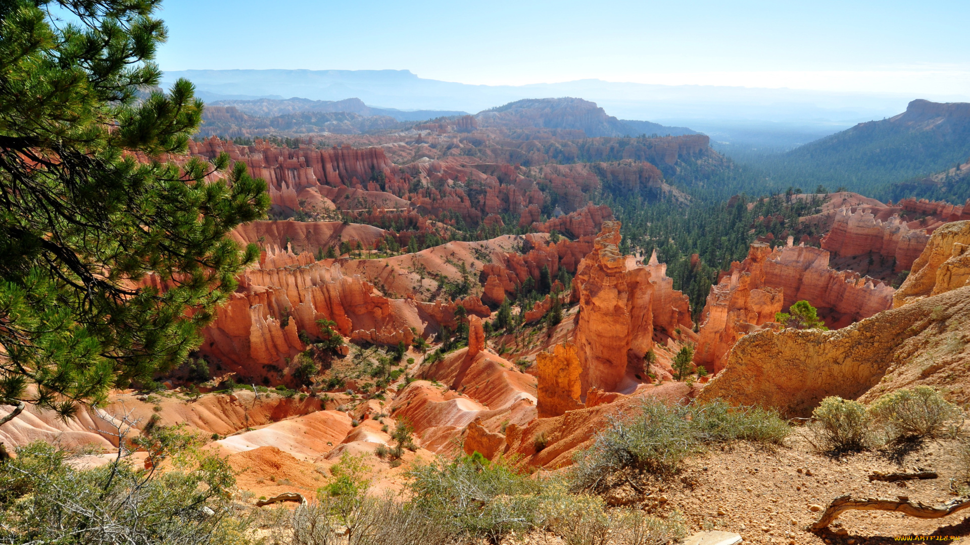 природа, горы, bryce, canyon, national, park, usa, utah