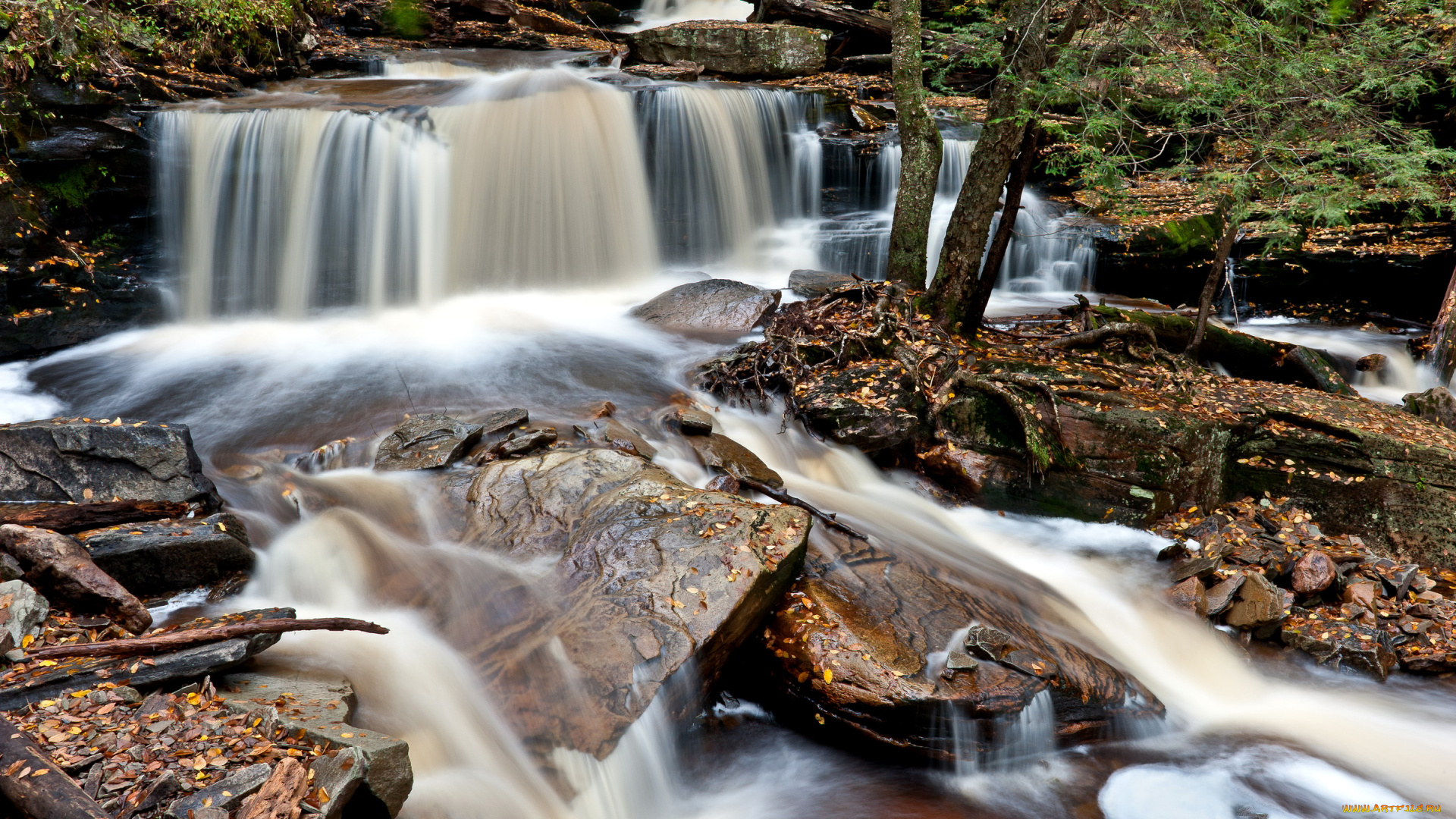 природа, водопады, ricketts, glen, state, park, pennsylvania