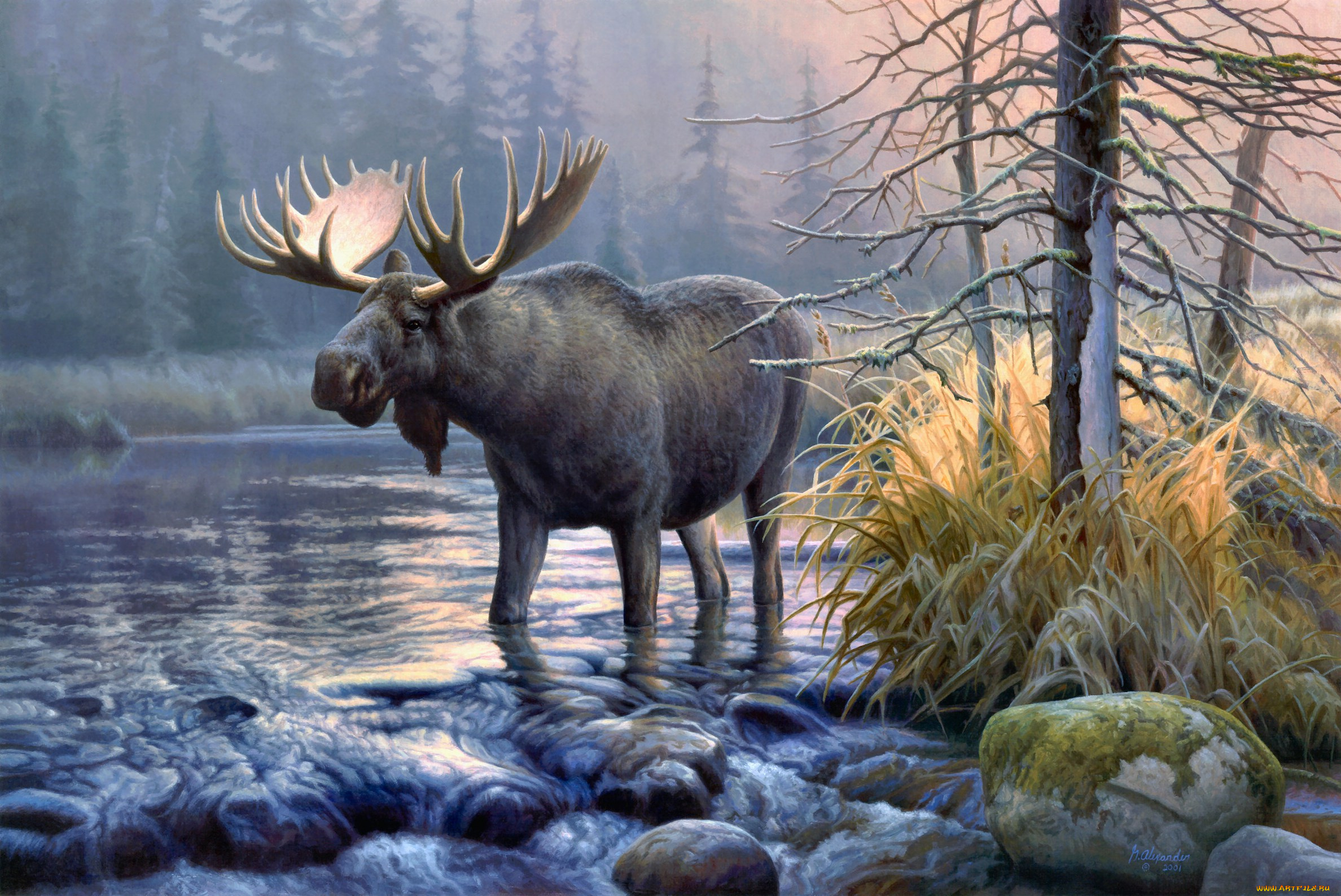 power, in, the, mist, рисованные, greg, alexander, stream, sunrise, forest, elk, moose, painting, river