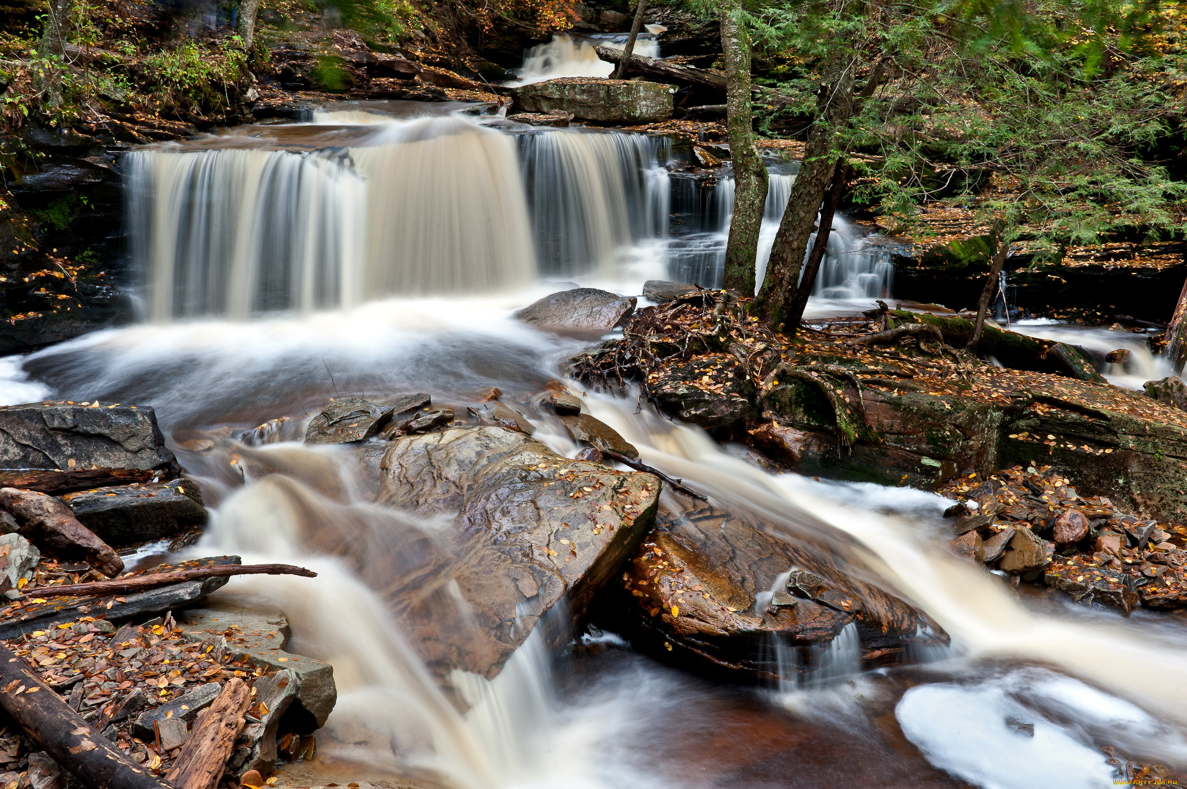 природа, водопады, ricketts, glen, state, park, pennsylvania