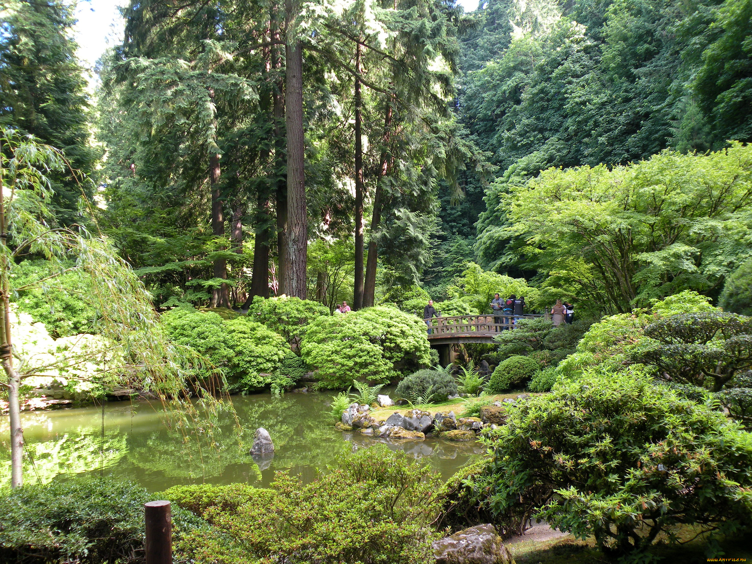 природа, парк, сша, gardens, portland, parks, oregon