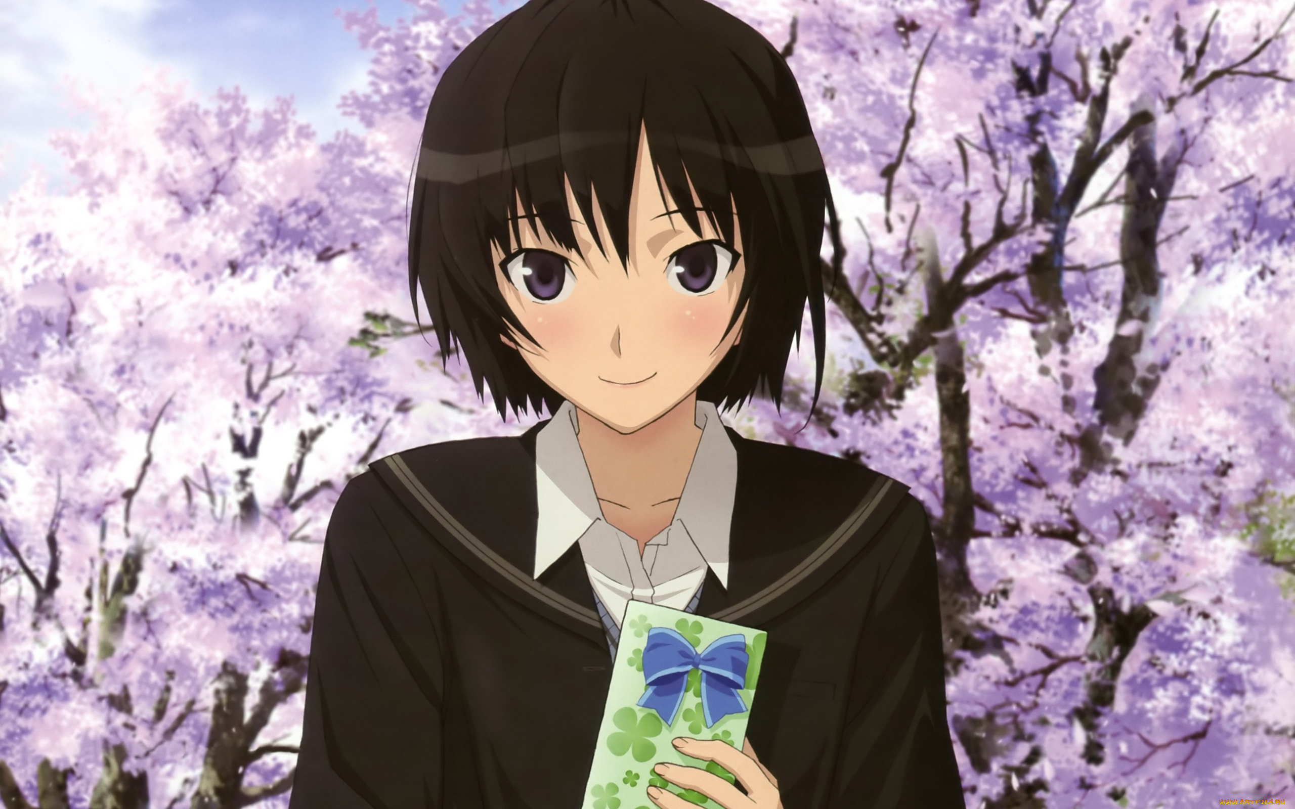 аниме, amagami, ss