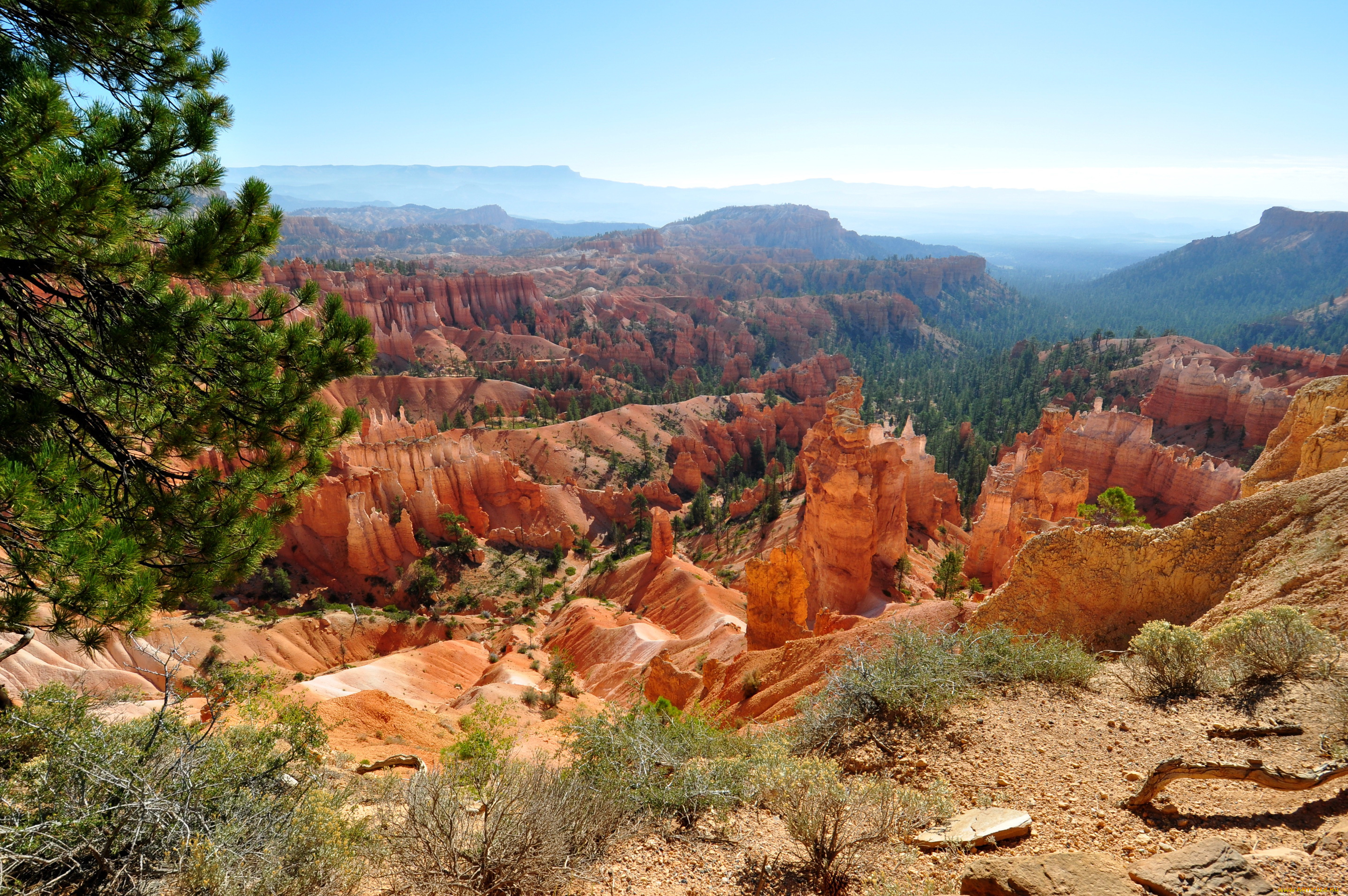 природа, горы, bryce, canyon, national, park, usa, utah