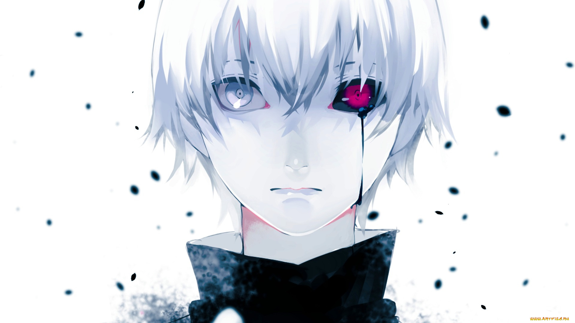 аниме, tokyo, ghoul, tokyo, ghoul, токийский, гуль, kaneki, ken, art, красный, глаз, белые, волосы, канеки, кен