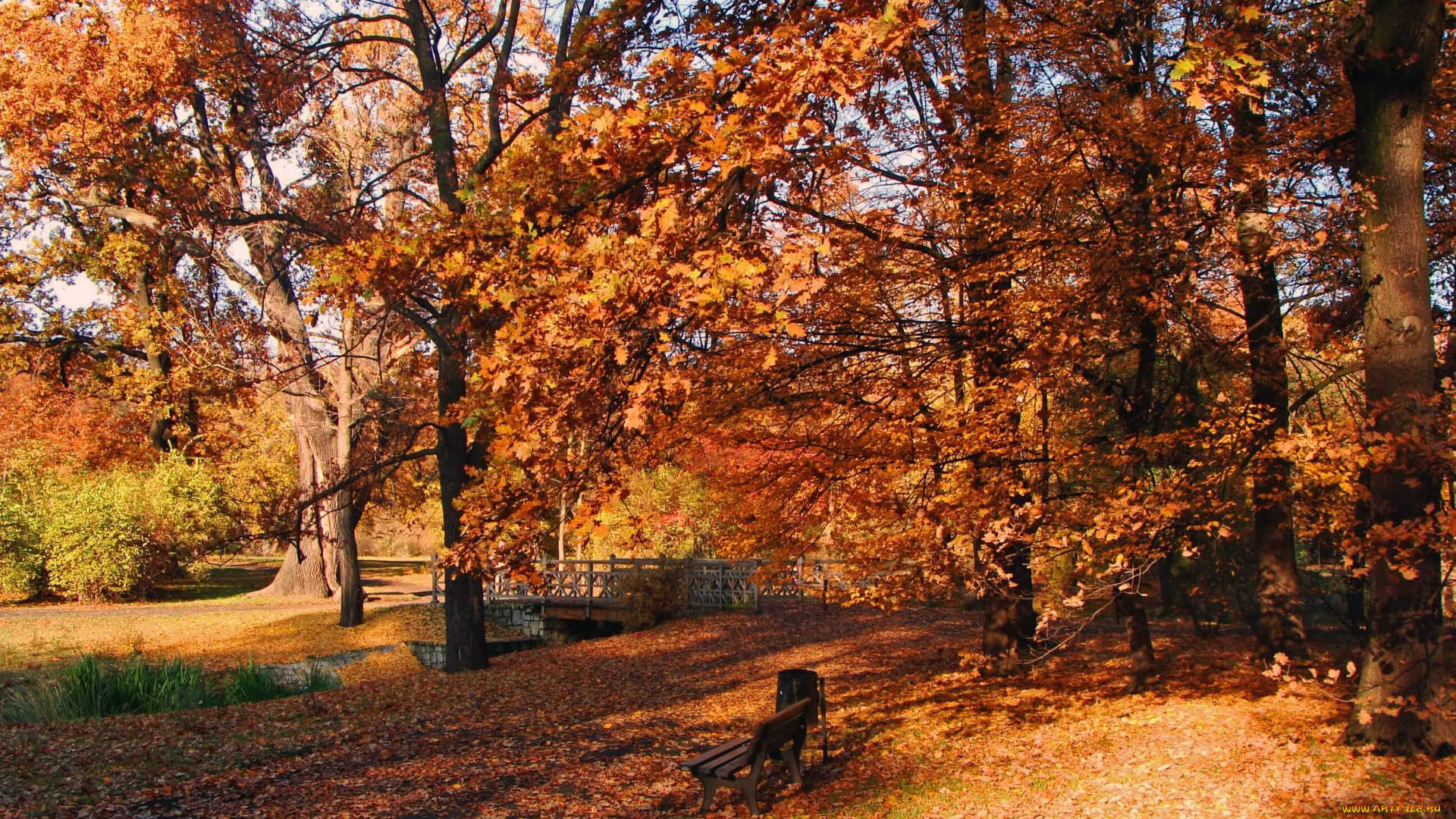 природа, парк, ручей, скамейка, деревья, листья, листопад, осень, забор