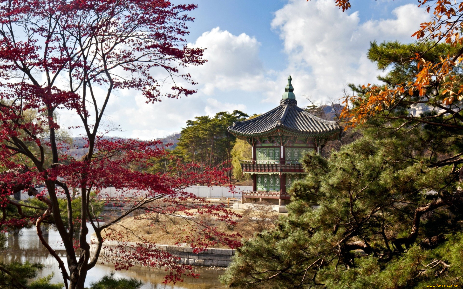 природа, парк, сад, японский