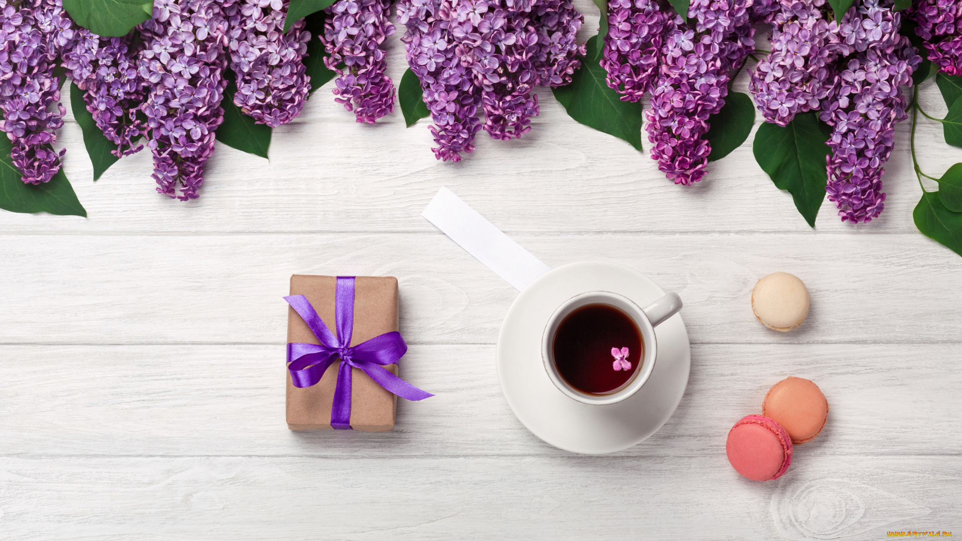 еда, кофе, , кофейные, зёрна, цветы, flowers, сирень, romantic, coffee, cup, spring, purple, macarons, lilac, чашка, макаруны