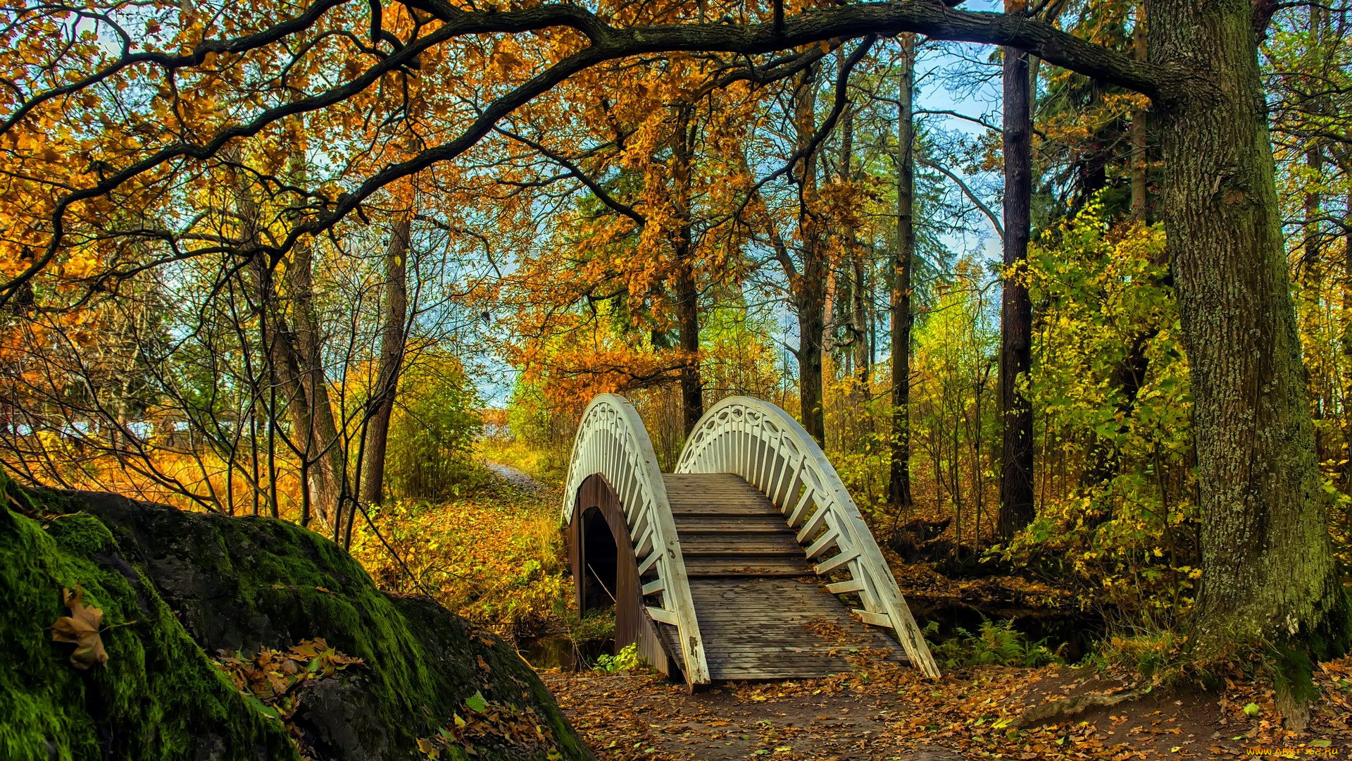 природа, парк, осень, мостик, листопад