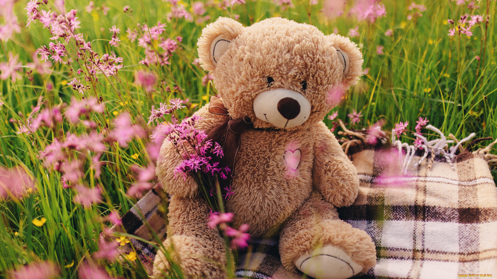 разное, игрушки, поле, цветы, мишка, love, field, heart, pink, flowers, romantic, spring, teddy, bear, cute, meadow