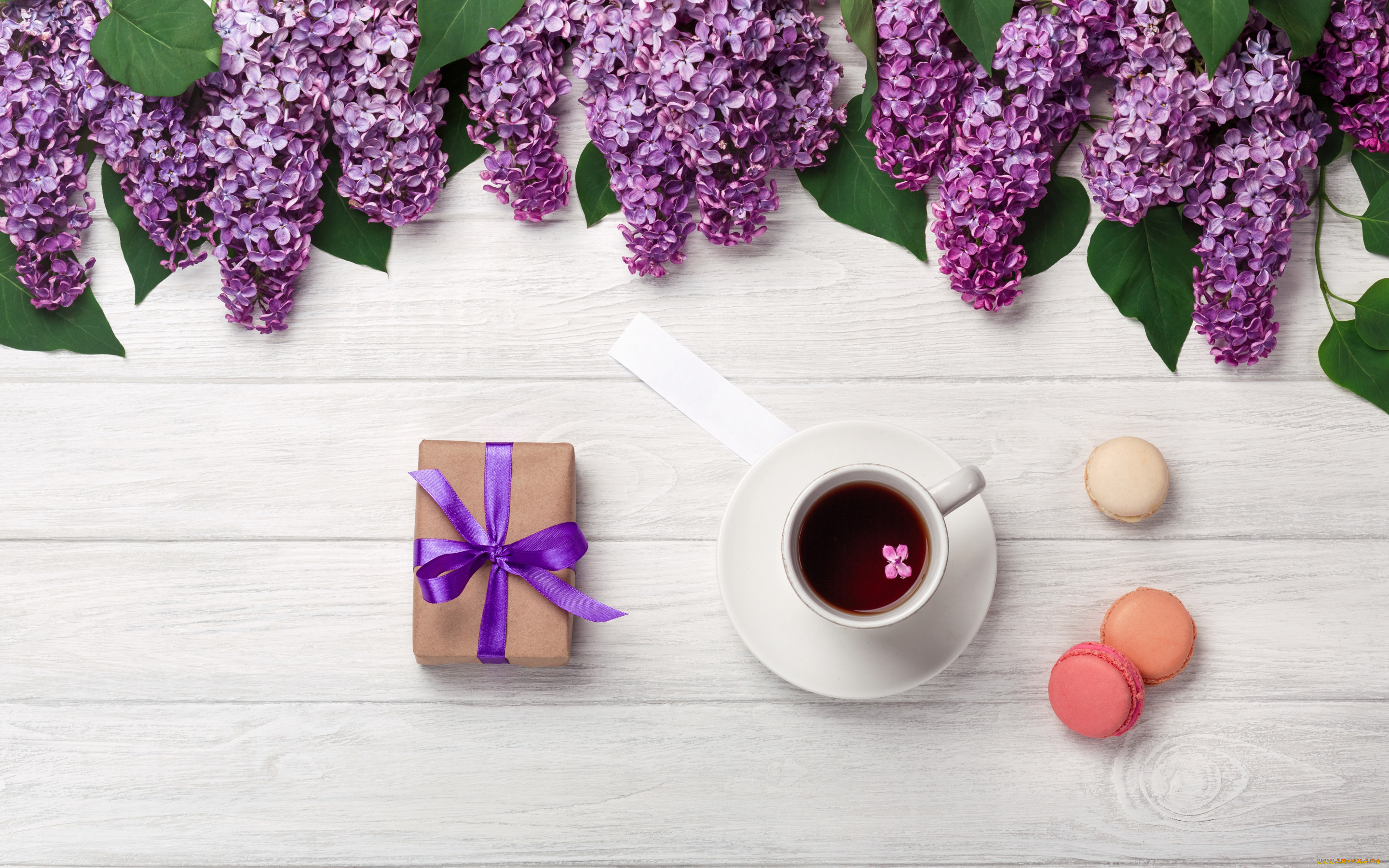 еда, кофе, , кофейные, зёрна, цветы, flowers, сирень, romantic, coffee, cup, spring, purple, macarons, lilac, чашка, макаруны