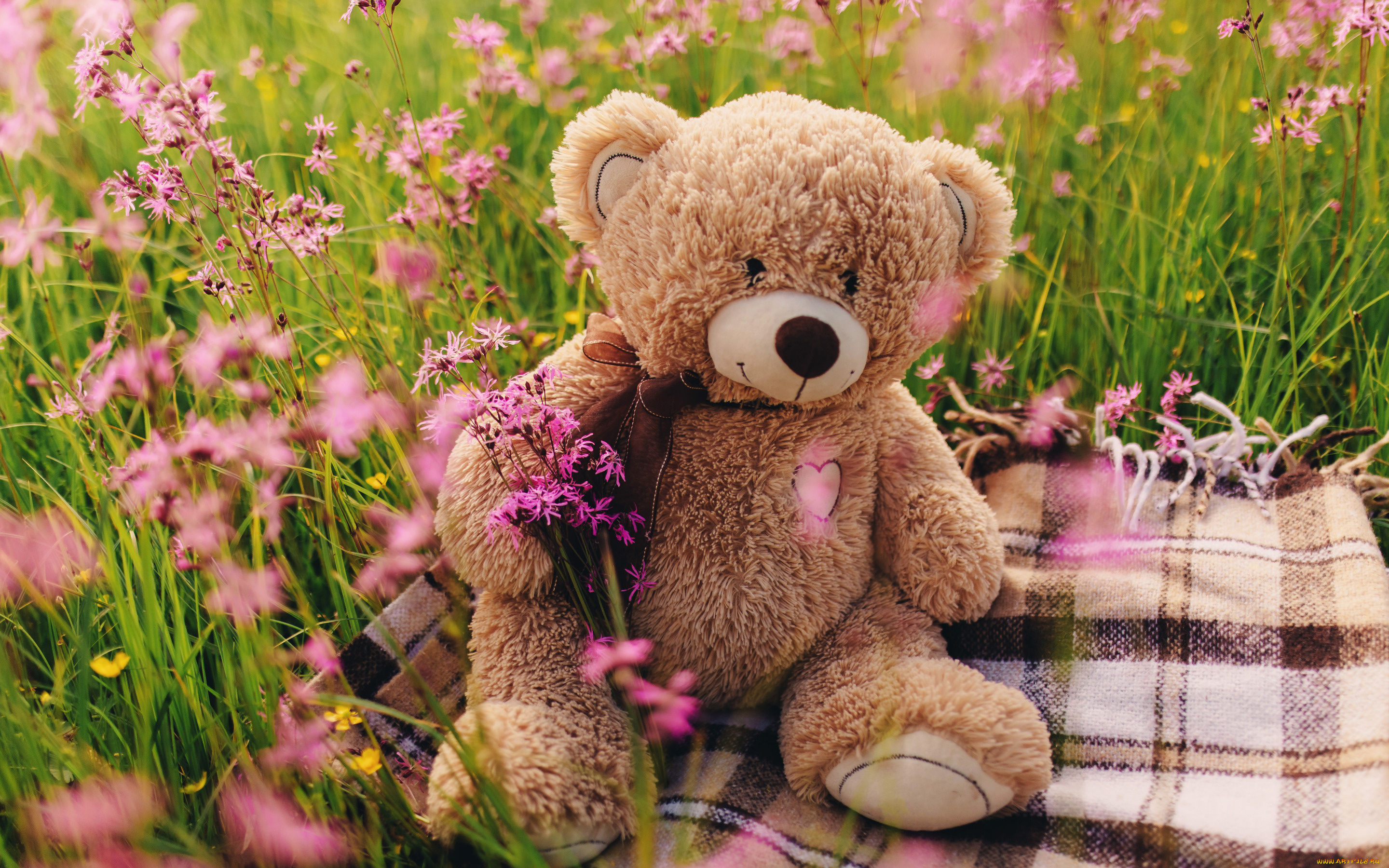 разное, игрушки, поле, цветы, мишка, love, field, heart, pink, flowers, romantic, spring, teddy, bear, cute, meadow