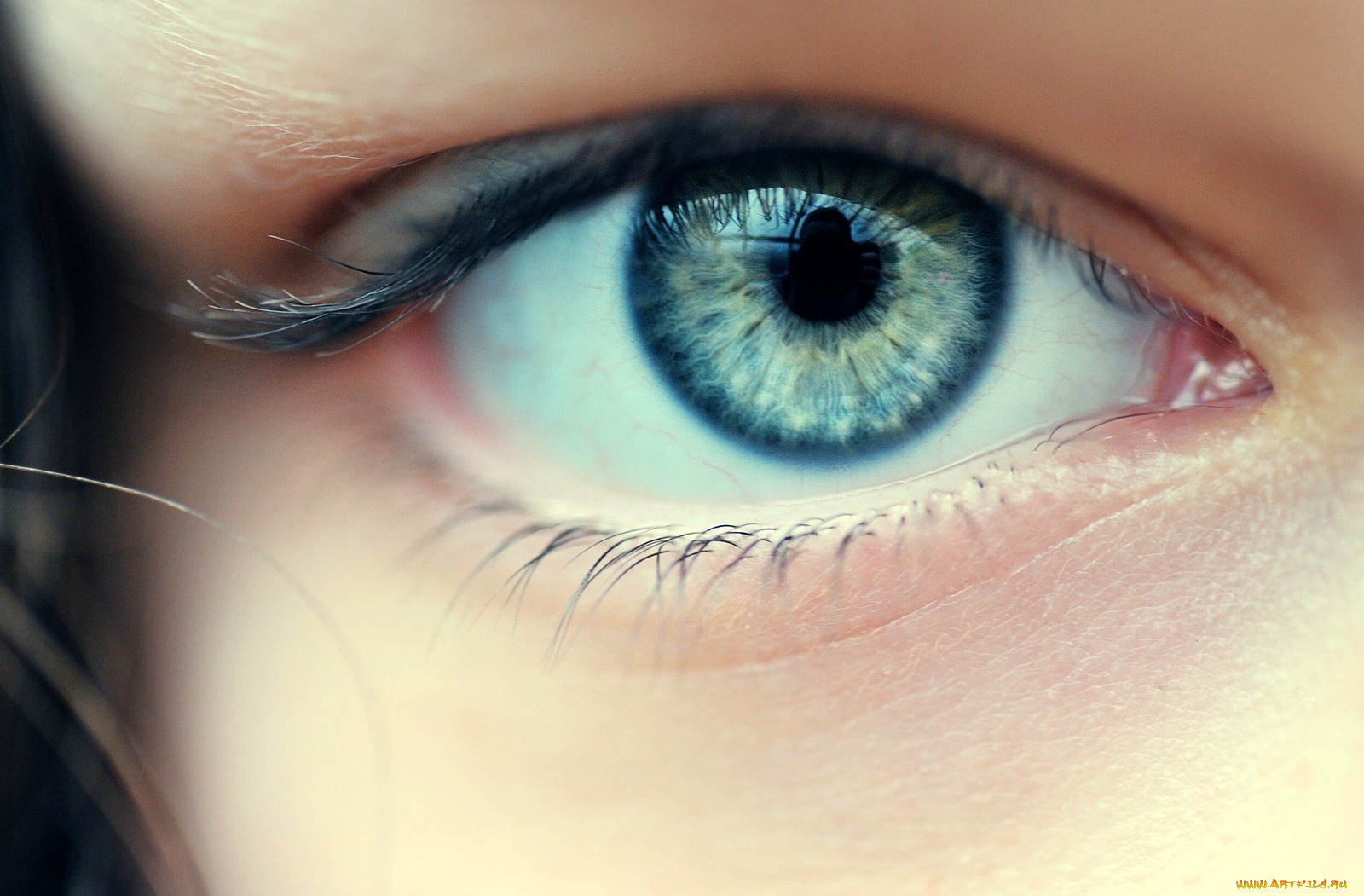 You have beautiful eyes. Красивые голубые глаза. Бирюзовые глаза. Серо голубые глаза. Зелёно-голубые глаза.