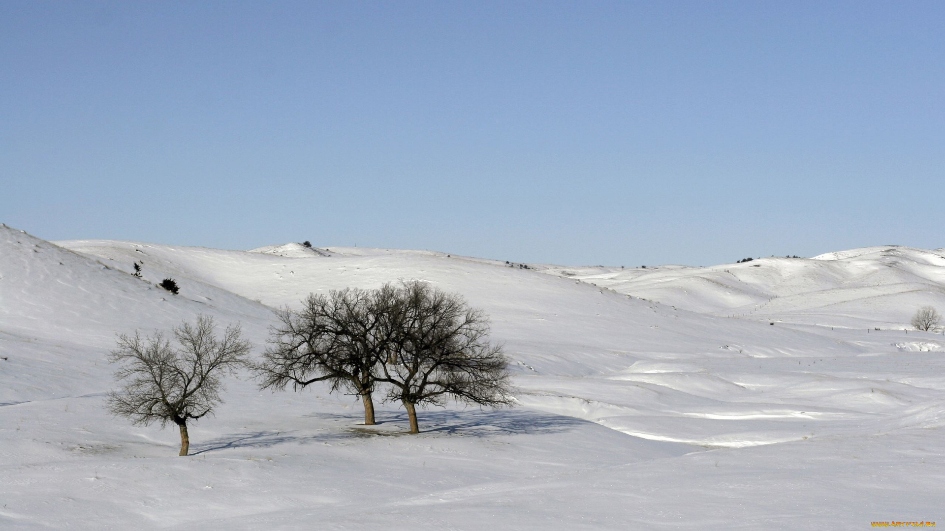 природа, зима, холмы, снег, деревья