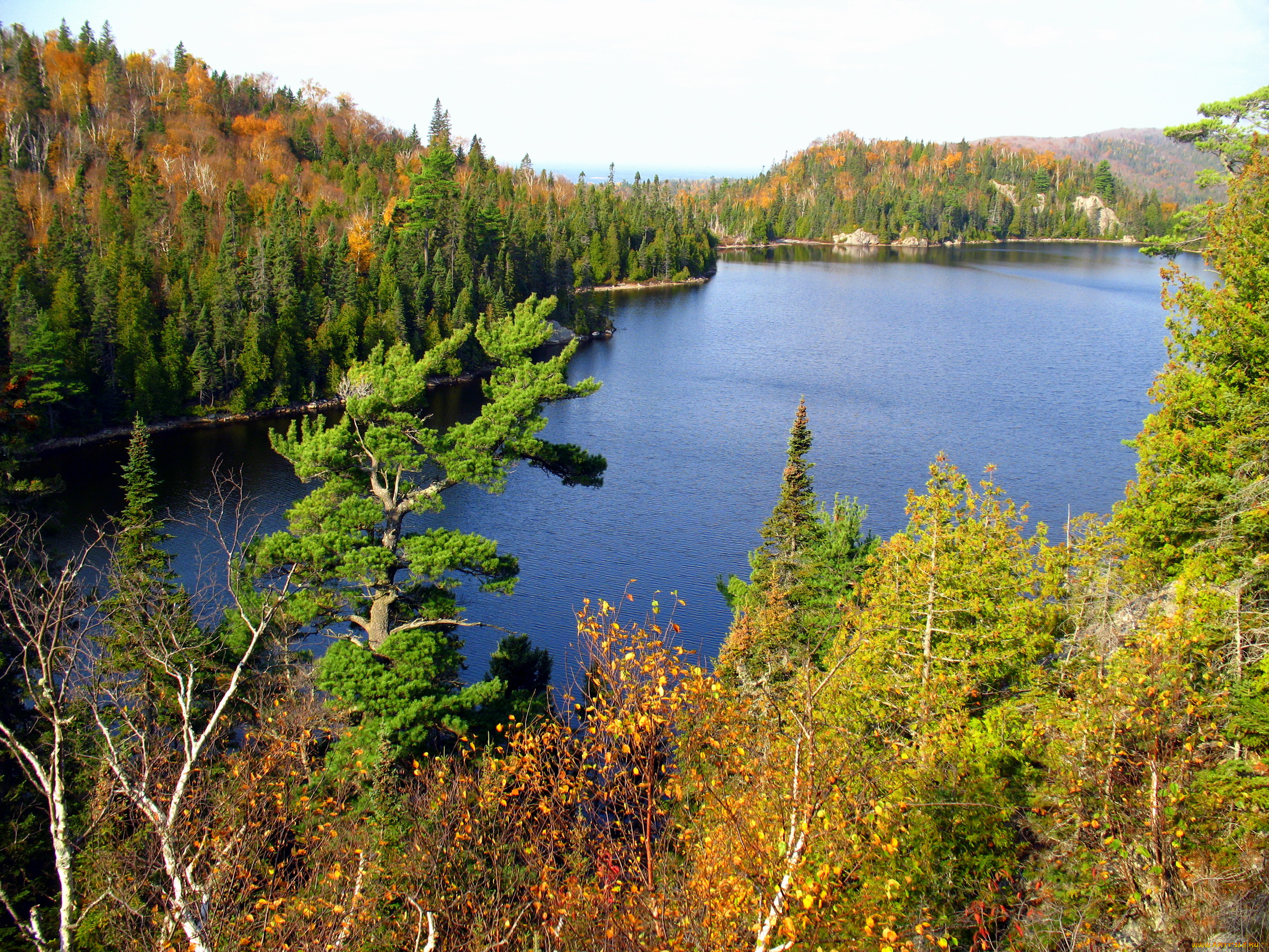 природа, реки, озера, оrphan, lake, ontario