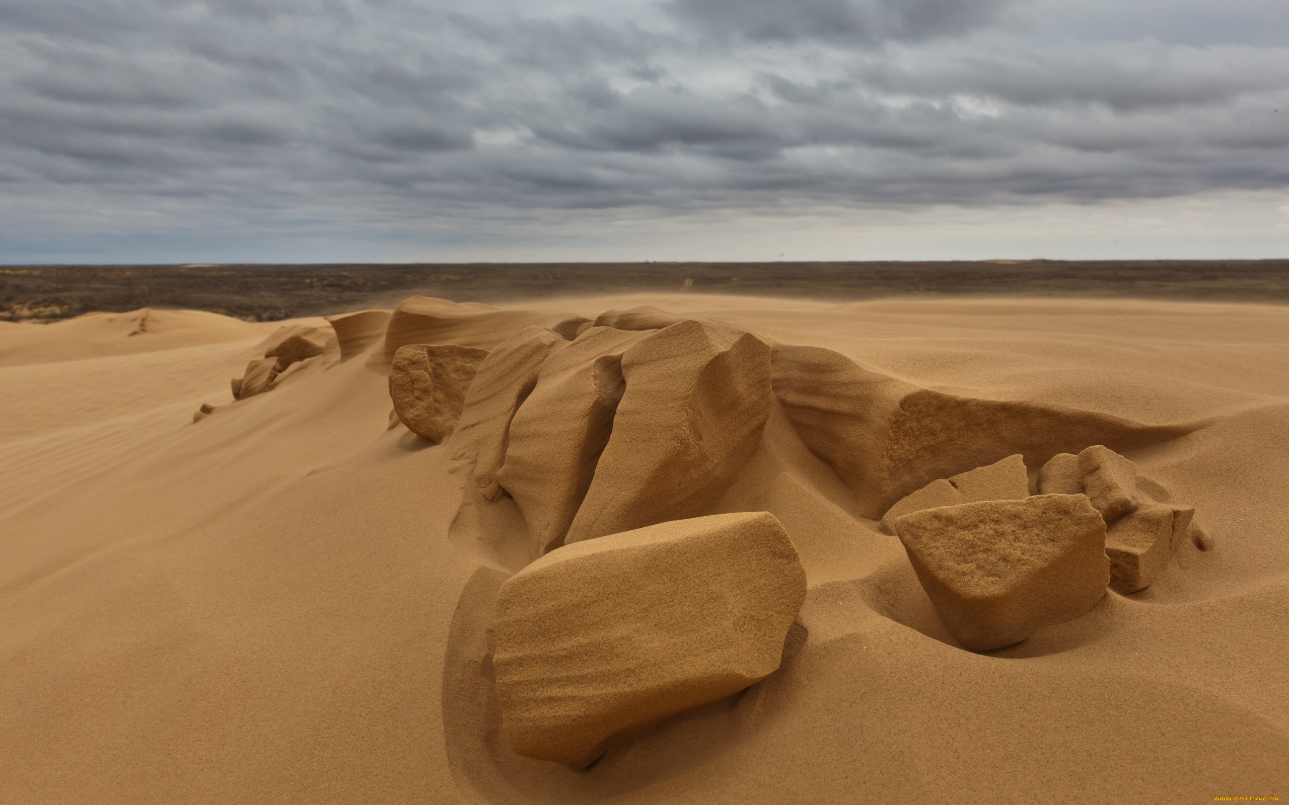 сергей, доля, природа, пустыни, desert