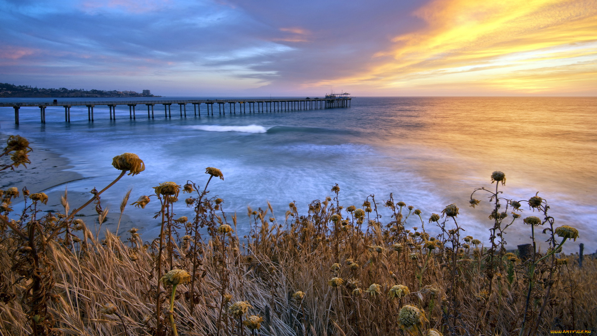 природа, восходы, закаты, la, jolla, shores, san, diego, california