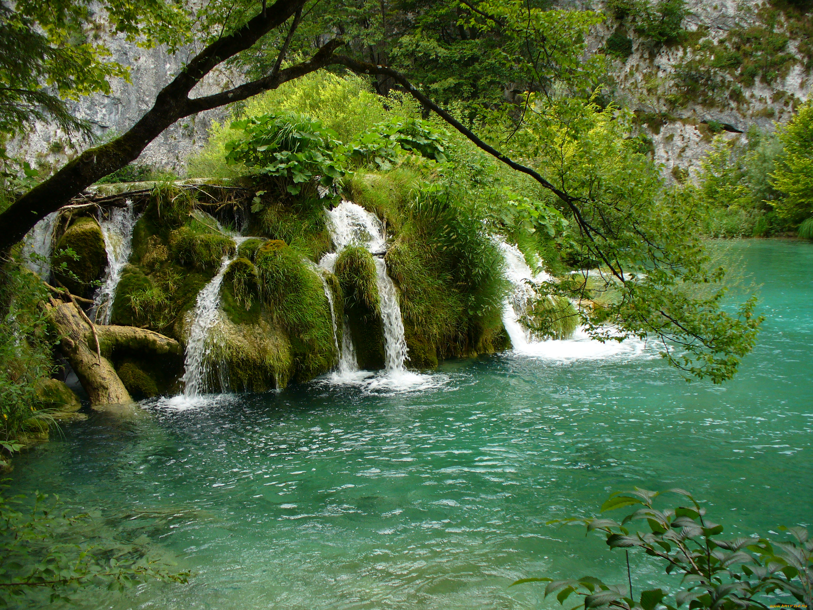 природа, водопады, водопад, скалы, деревья