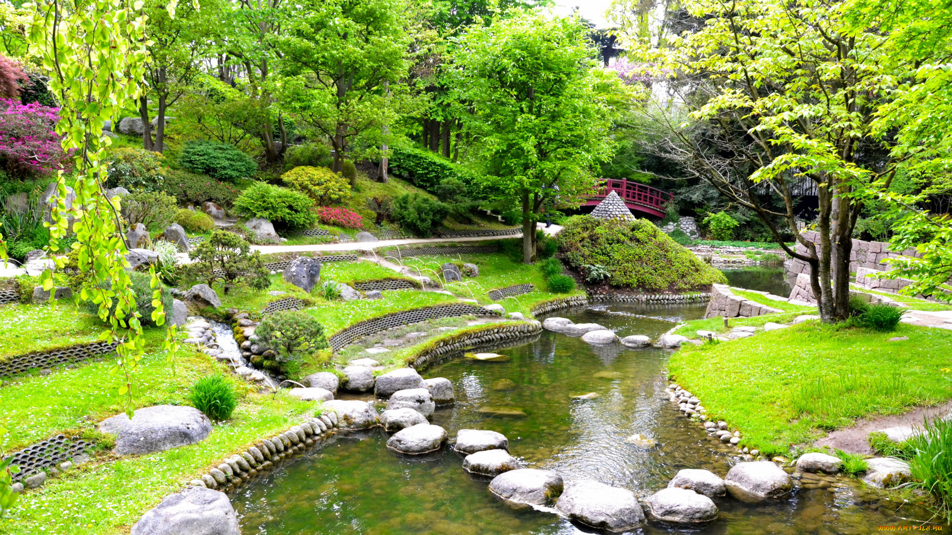 albert-kahn, japanese, gardens, природа, парк, париж, сад, ручей, кусты, деревья, камни