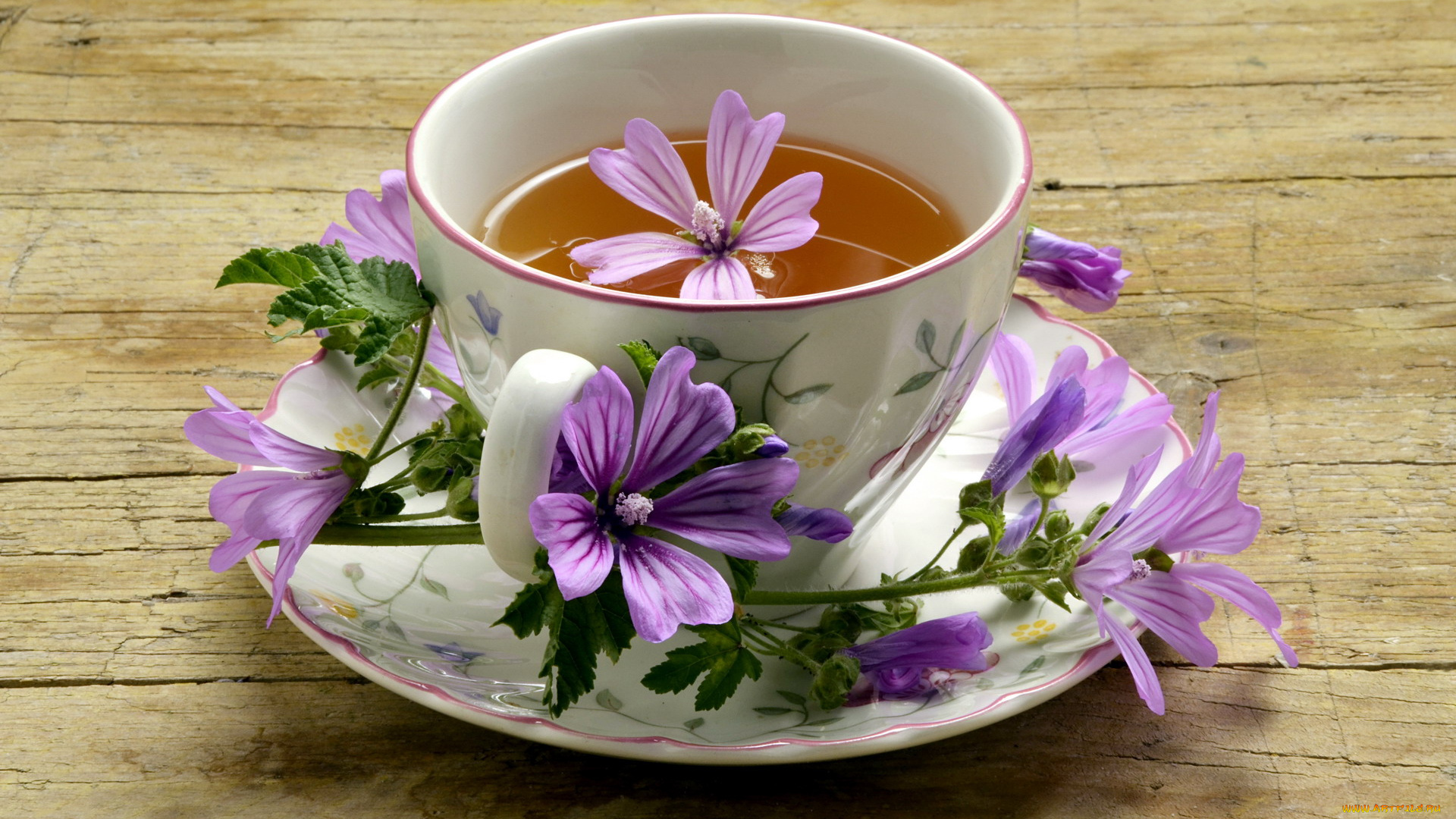 еда, напитки, , Чай, цветы, чай, чашка