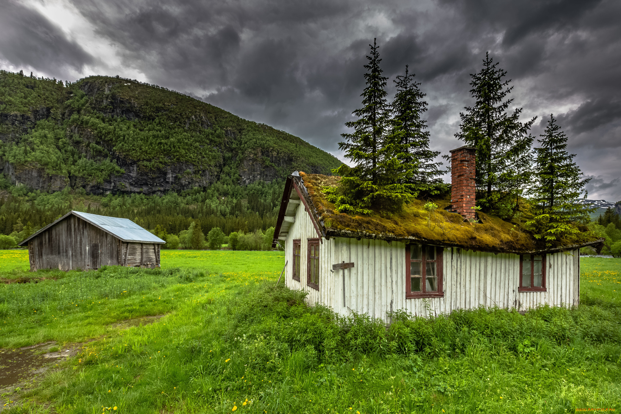 Дома видео на природе. Горные Хижины в Норвегии. Buskerud Норвегия. Норвежская Горная деревня. Хижина Мосдалсбу Норвегия.