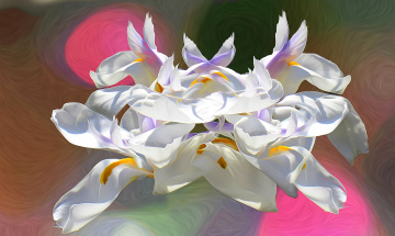 Картинка разное компьютерный+дизайн краски цветы фон лепестки соцветие штрих линии