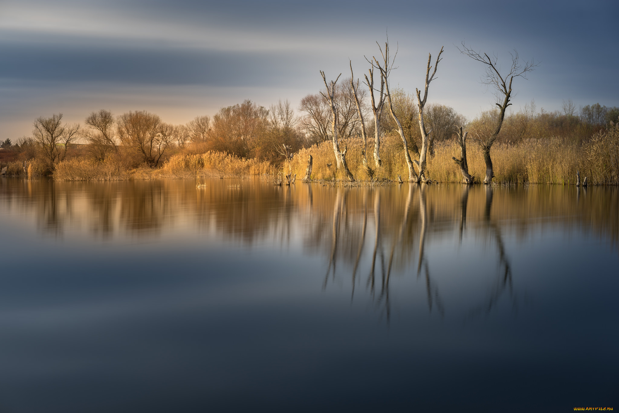 природа, реки, озера, река, лес