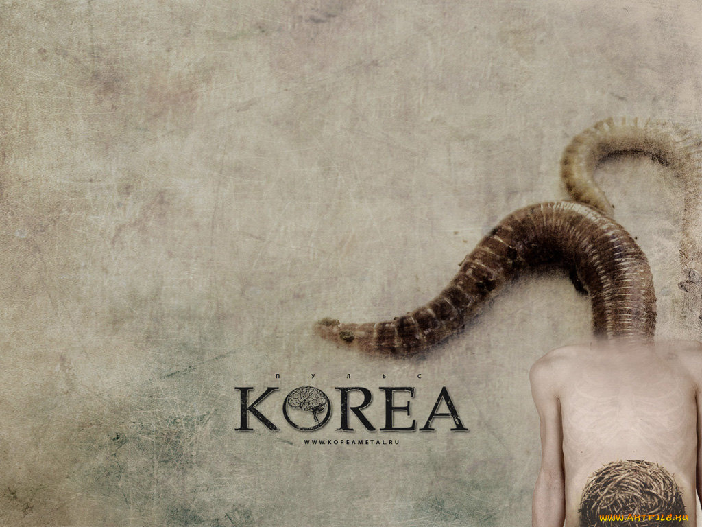 korea5, музыка, korea