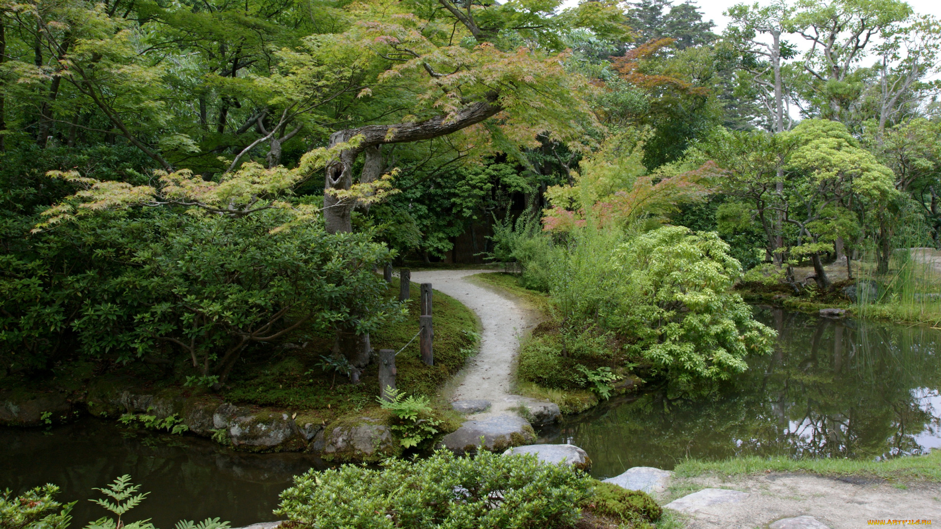isuien, garden, nara, japan, природа, парк
