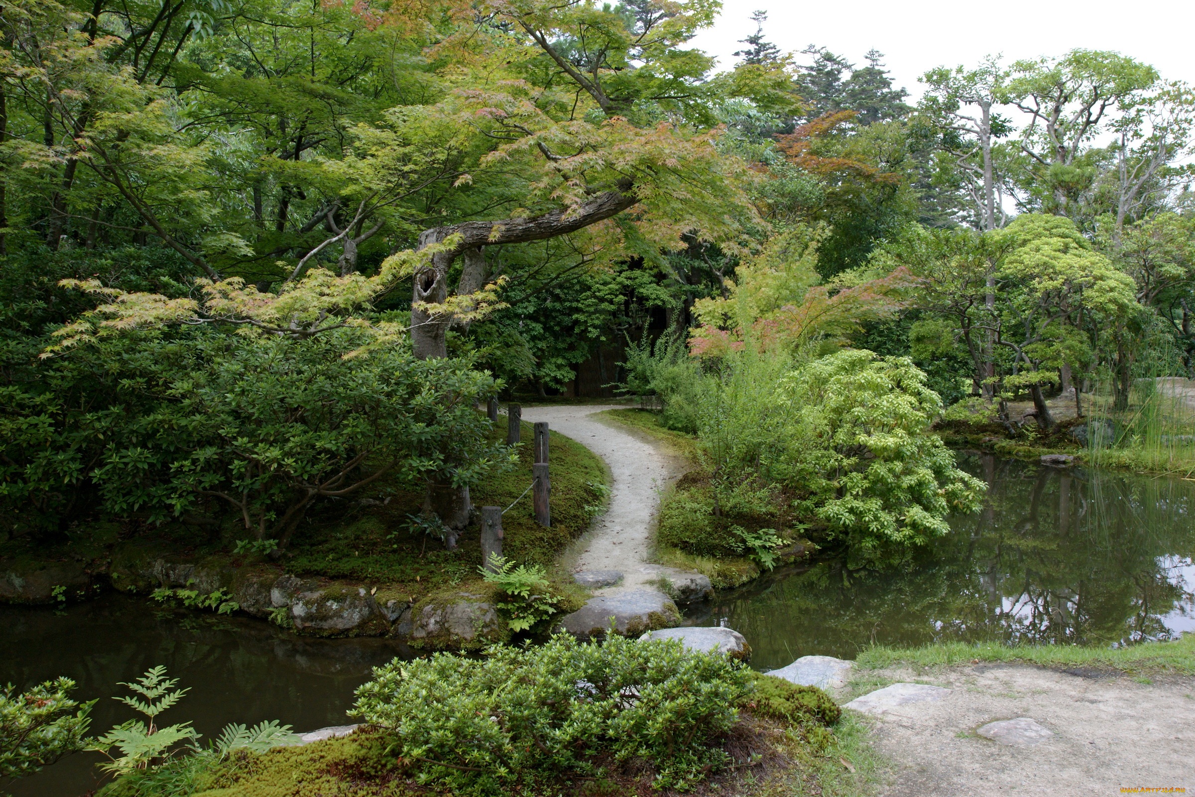 isuien, garden, nara, japan, природа, парк