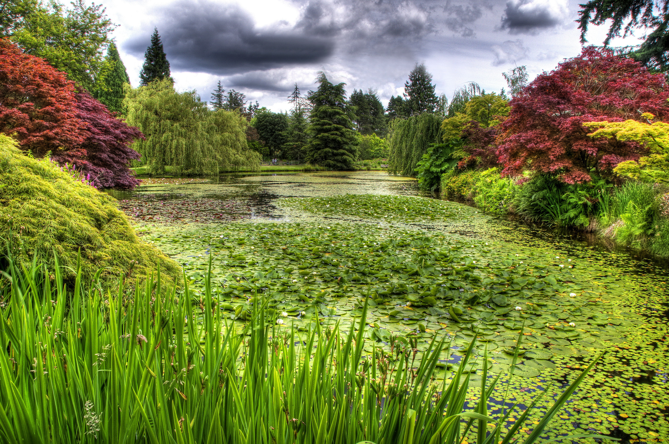 vandusen, botanical, garden, vancouver, природа, парк