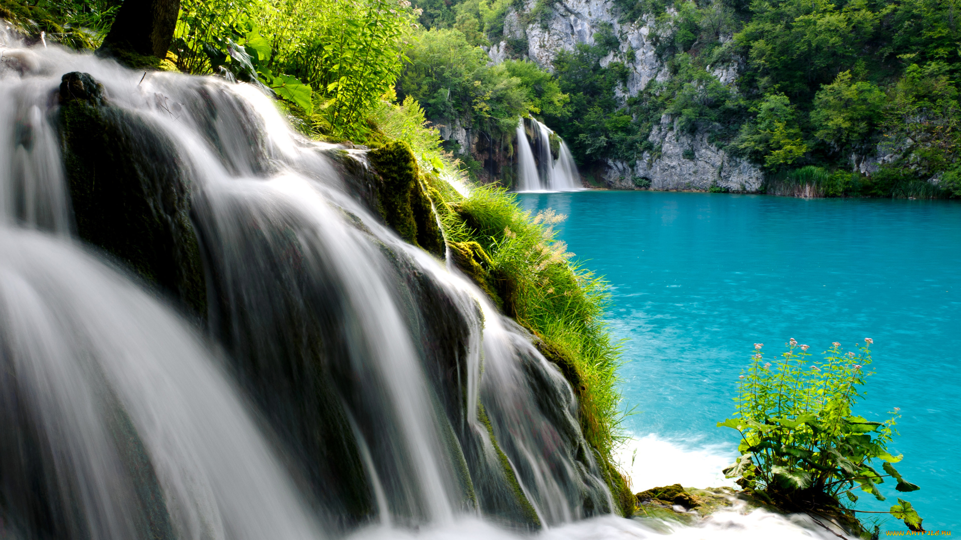 природа, водопады, куст, вода