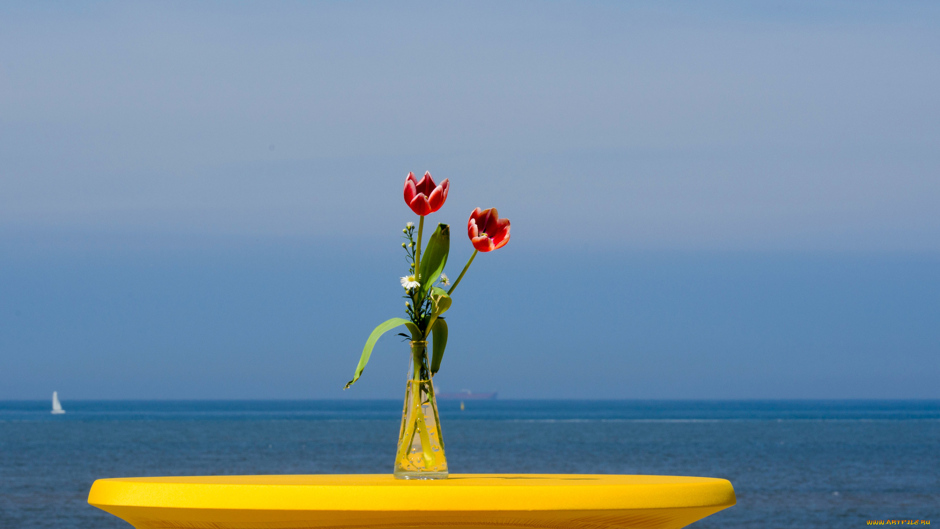 цветы, букеты, , композиции, ваза, яхта, парус, море, небо, тюльпаны