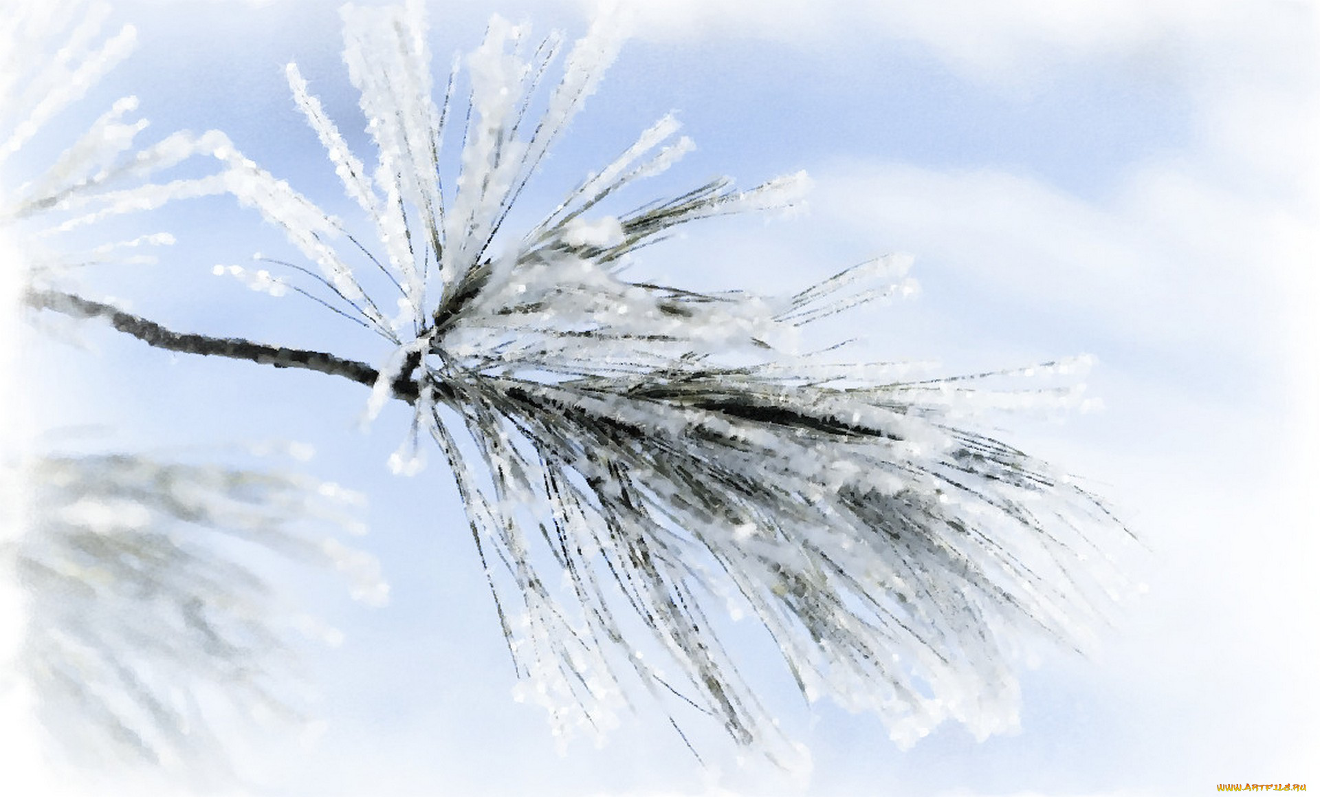 снежная, ветка, рисованное, природа, рисунок, ветки, акварель, заснеженные, иголки, зима