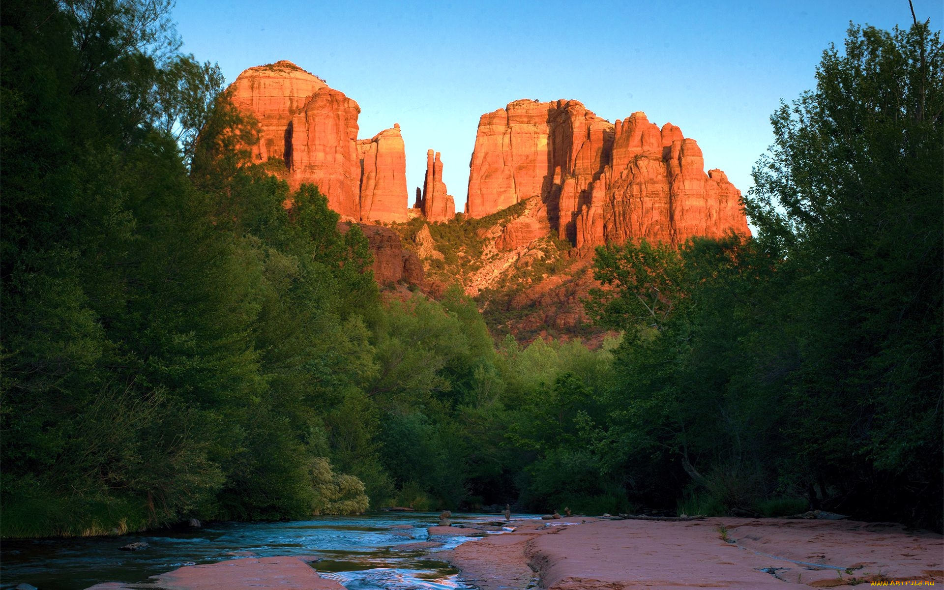 cathedral, rock, sedona, arizona, природа, горы, cathedral, rock, sedona