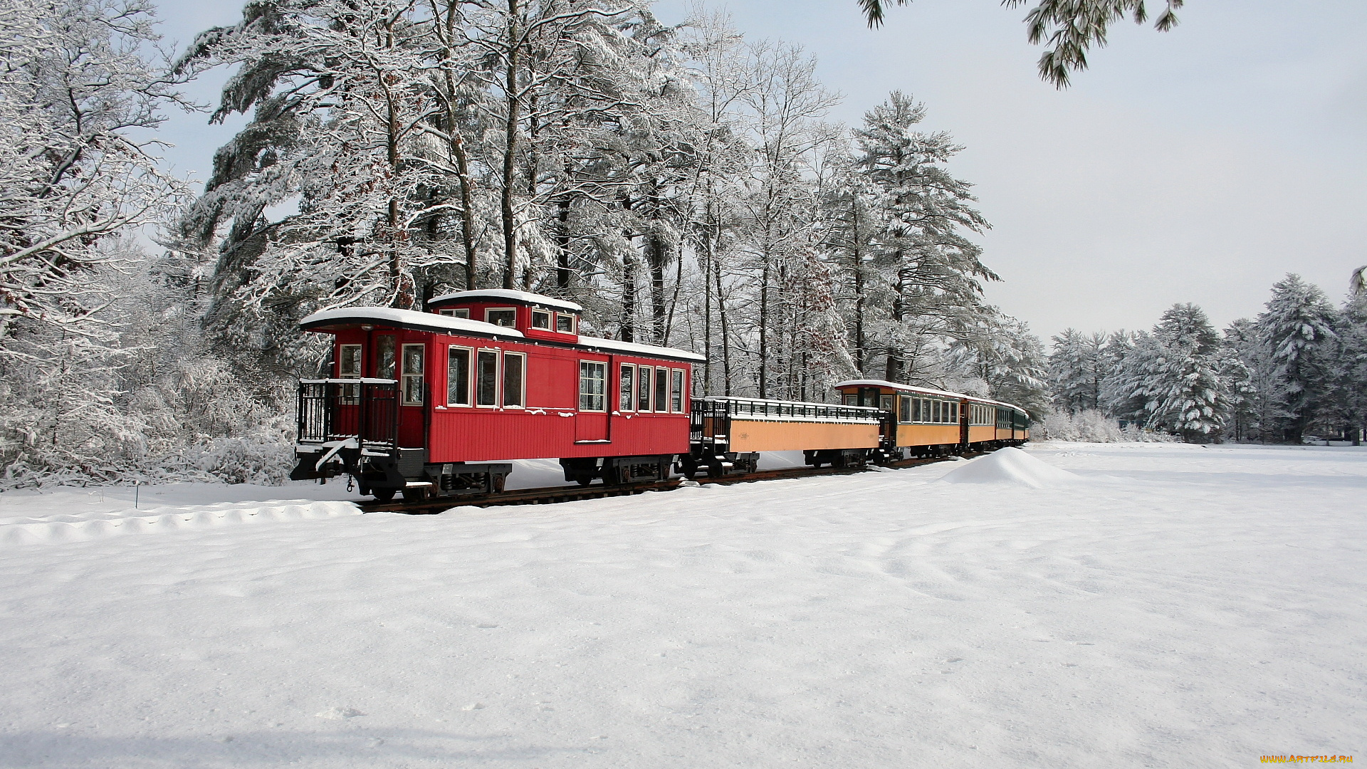 техника, поезда, деревья, вагоны, снег