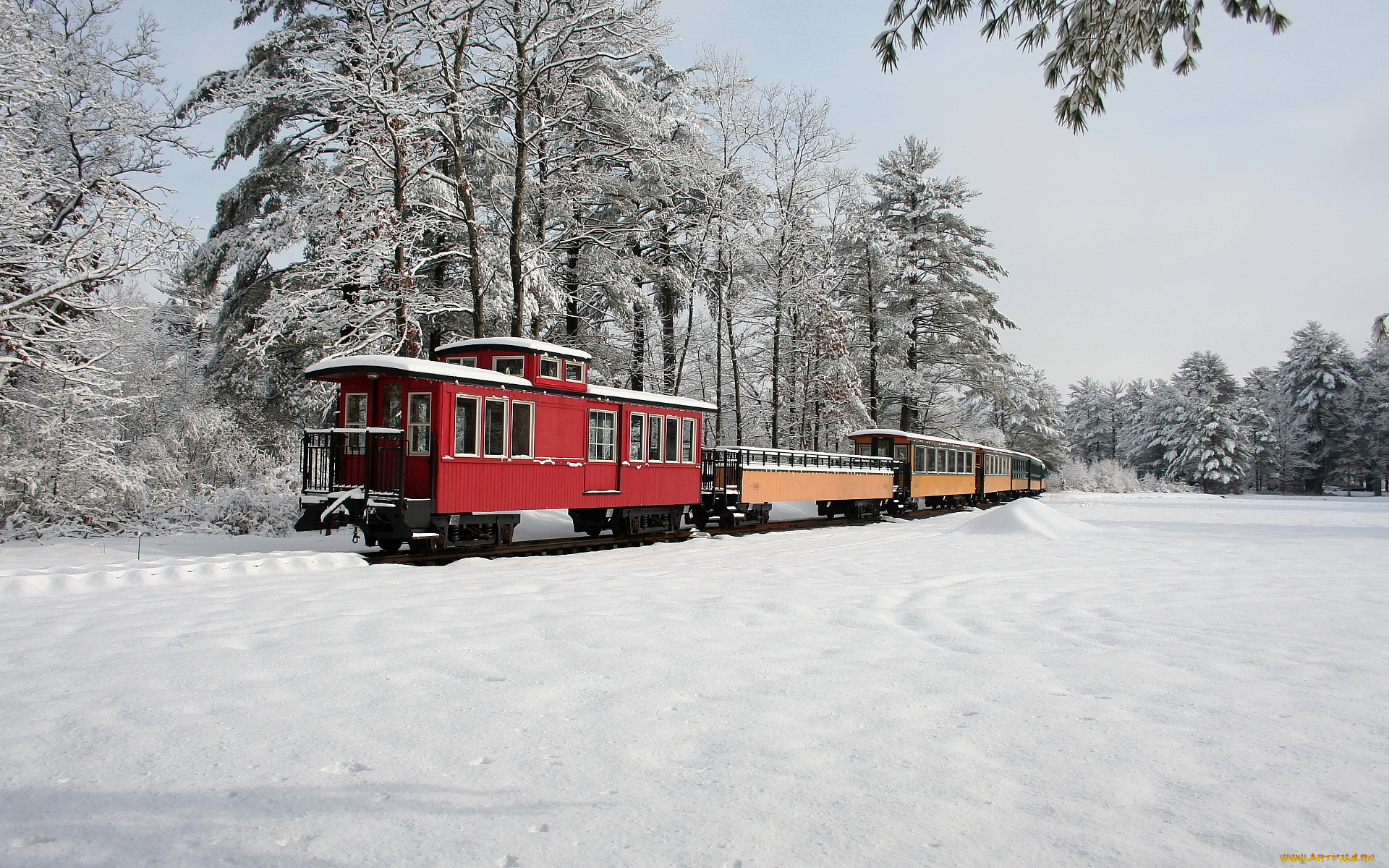 техника, поезда, деревья, вагоны, снег
