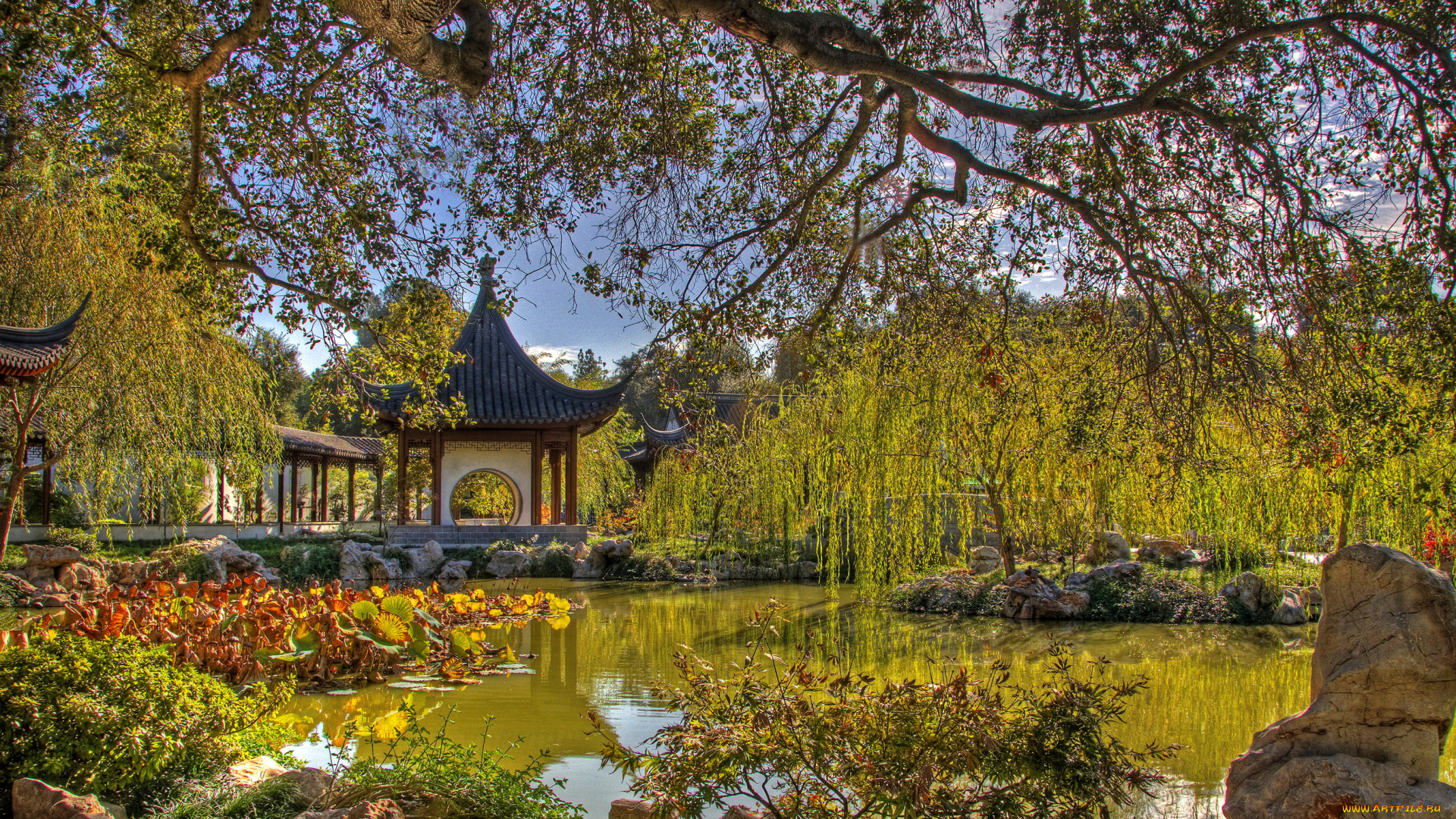 chinese, garden, san, marino, california, usa, природа, парк, мостик, пруд