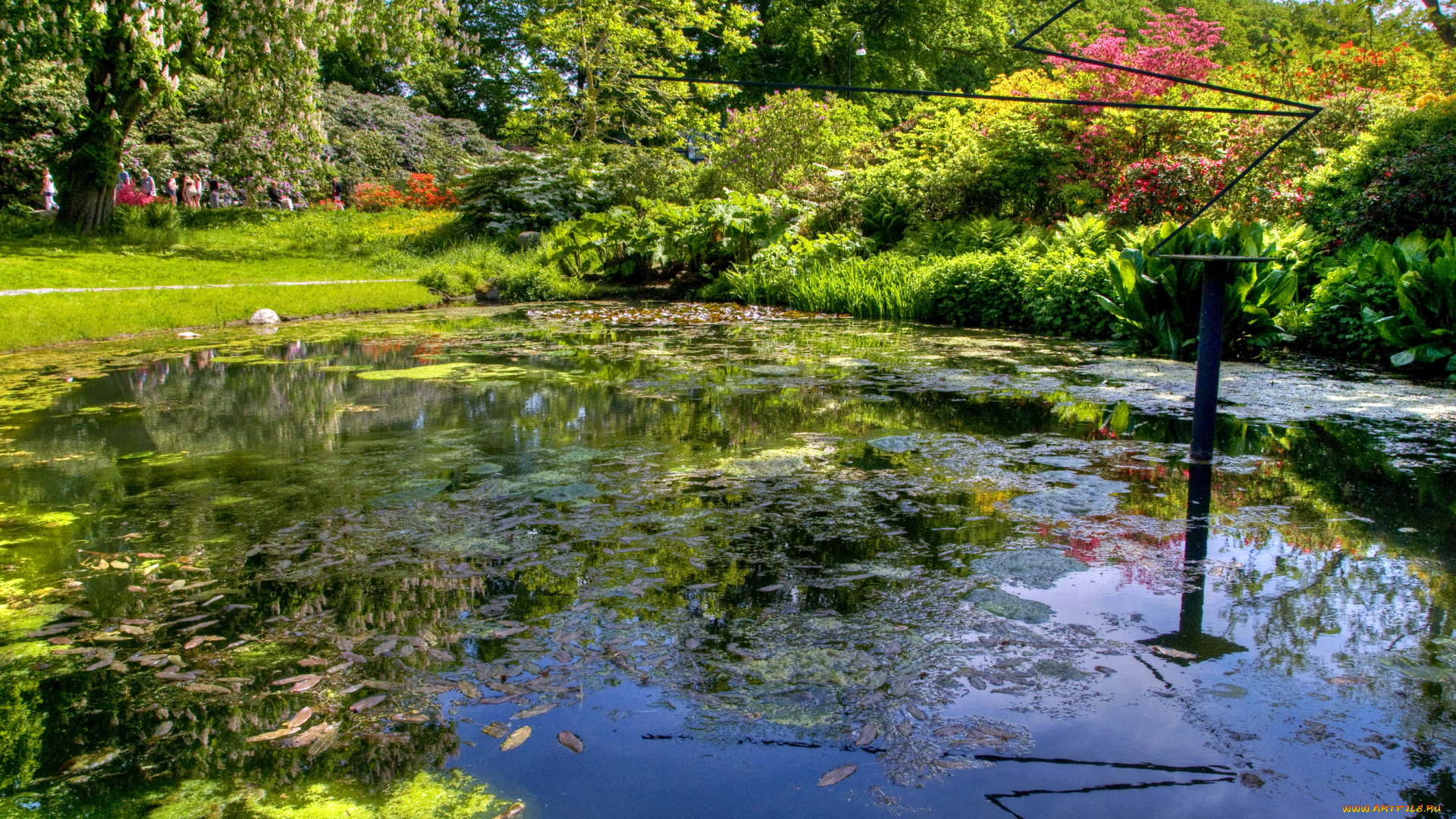 gardens, of, sofiero, castle, helsingborg, sweden, природа, парк, водоем, рыба, деревья, кусты, цветы