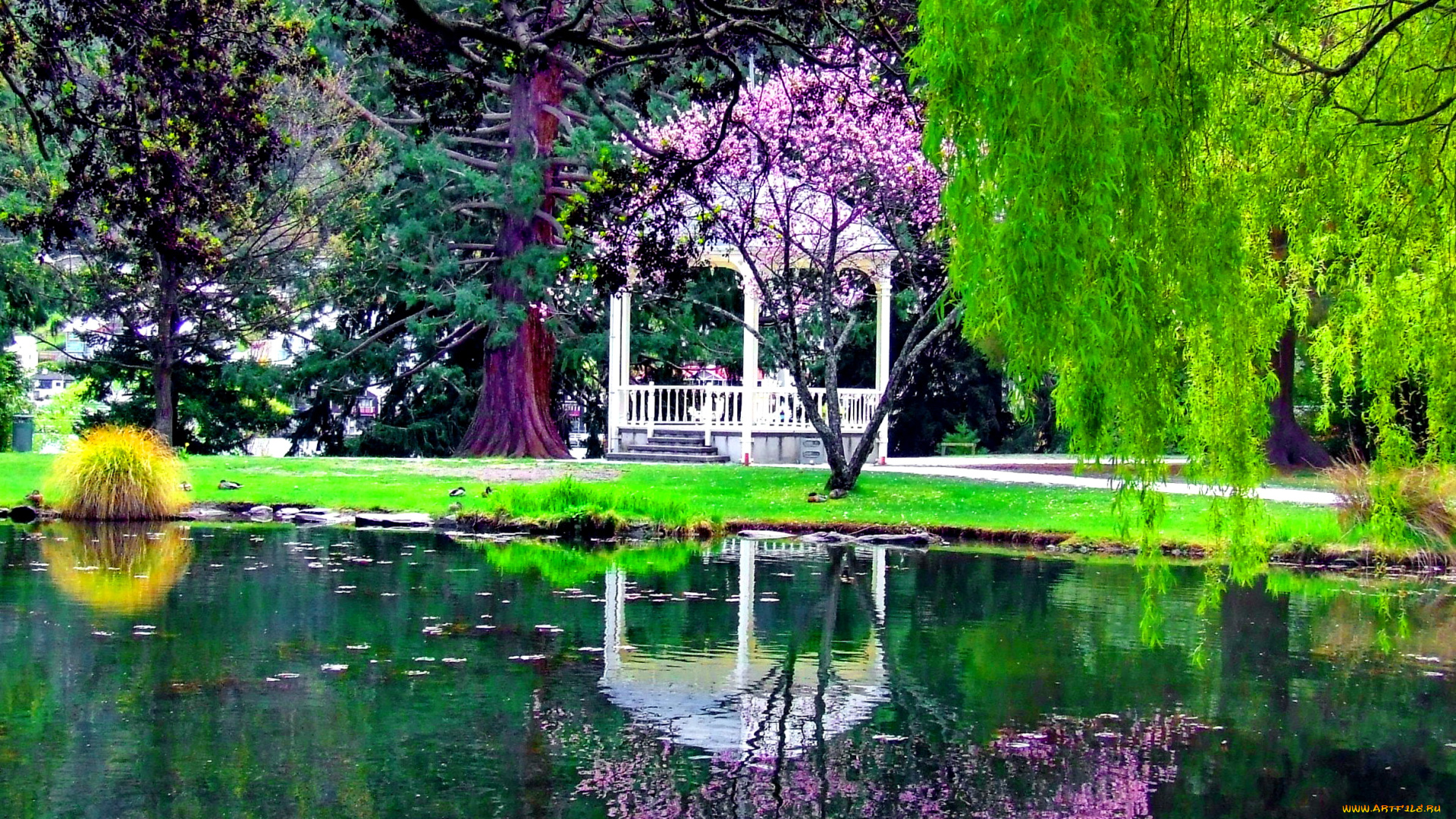 Декоративное озеро в саду без смс