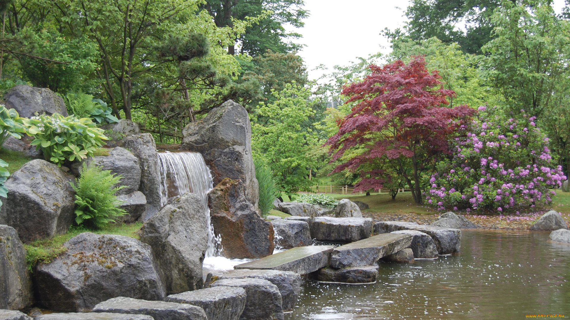 japanese, garden, природа, парк, пруд, камни, деревья, кустарник, цветы, Япония
