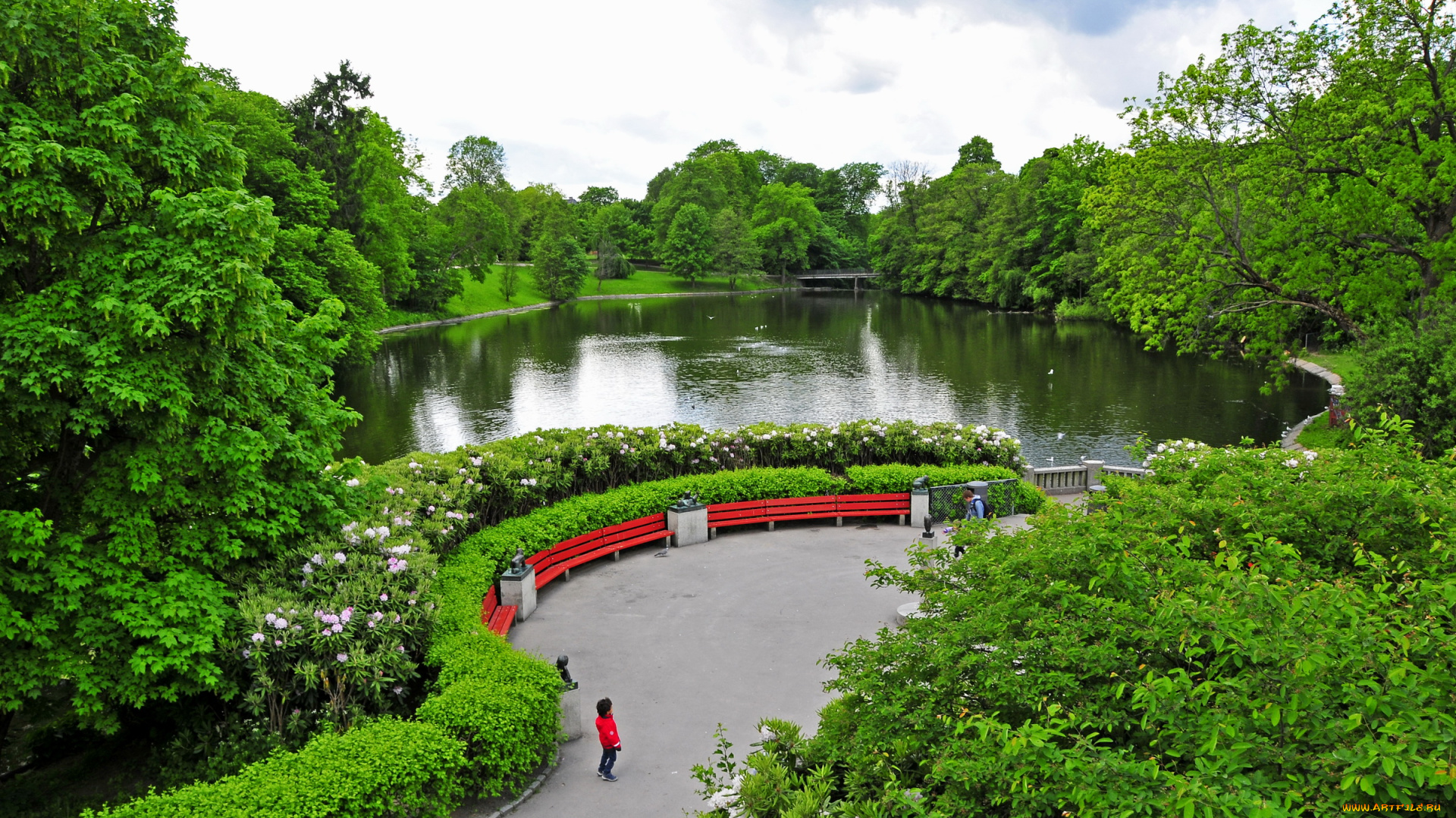 норвегия, осло, vigeland, park, природа, парк, водоем, дорожка, кусты, деревья