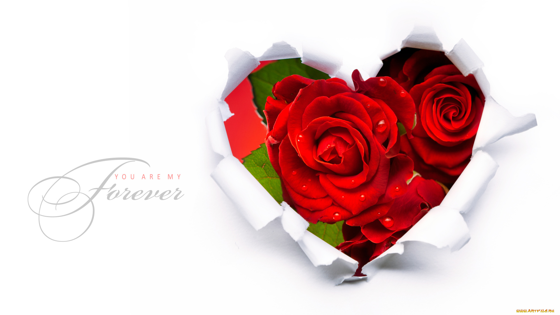 праздничные, день, св, валентина, сердечки, любовь, бумажное, сердце, розы, бумага