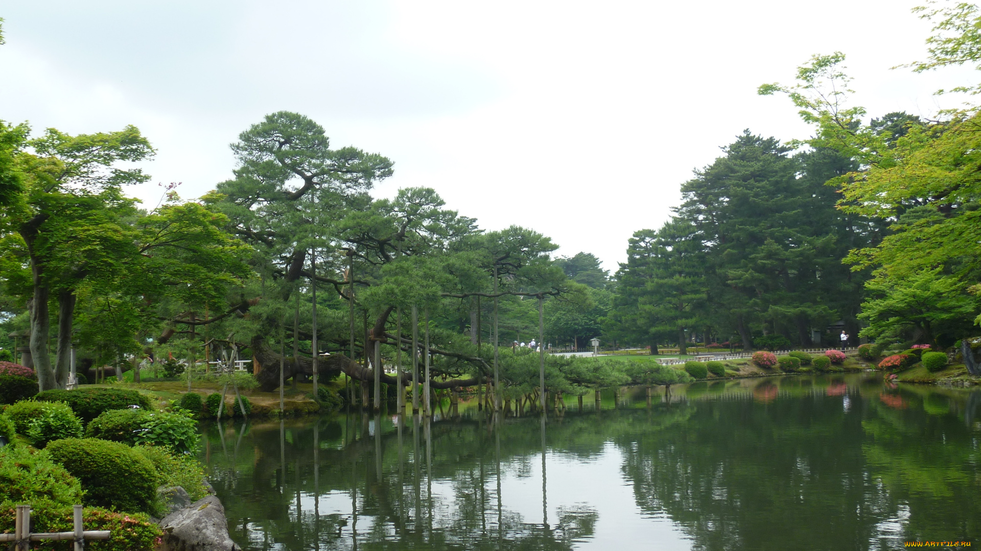 природа, парк, Япония, кенрокуен