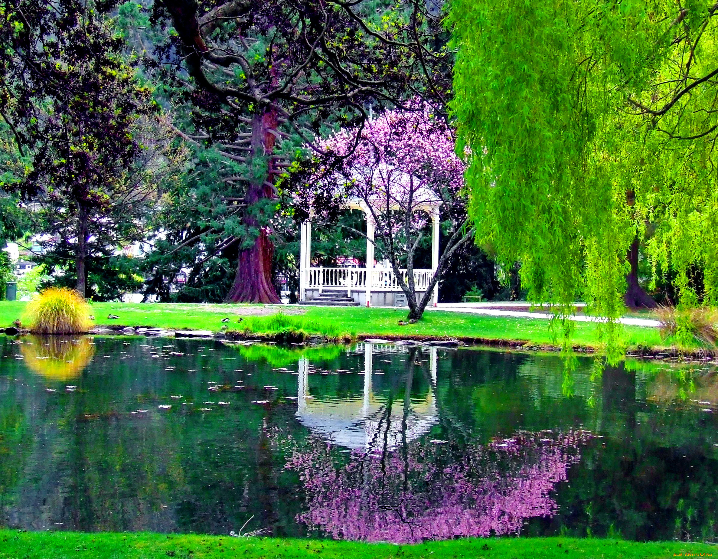 gazebo, in, park, природа, парк, беседка, пруд