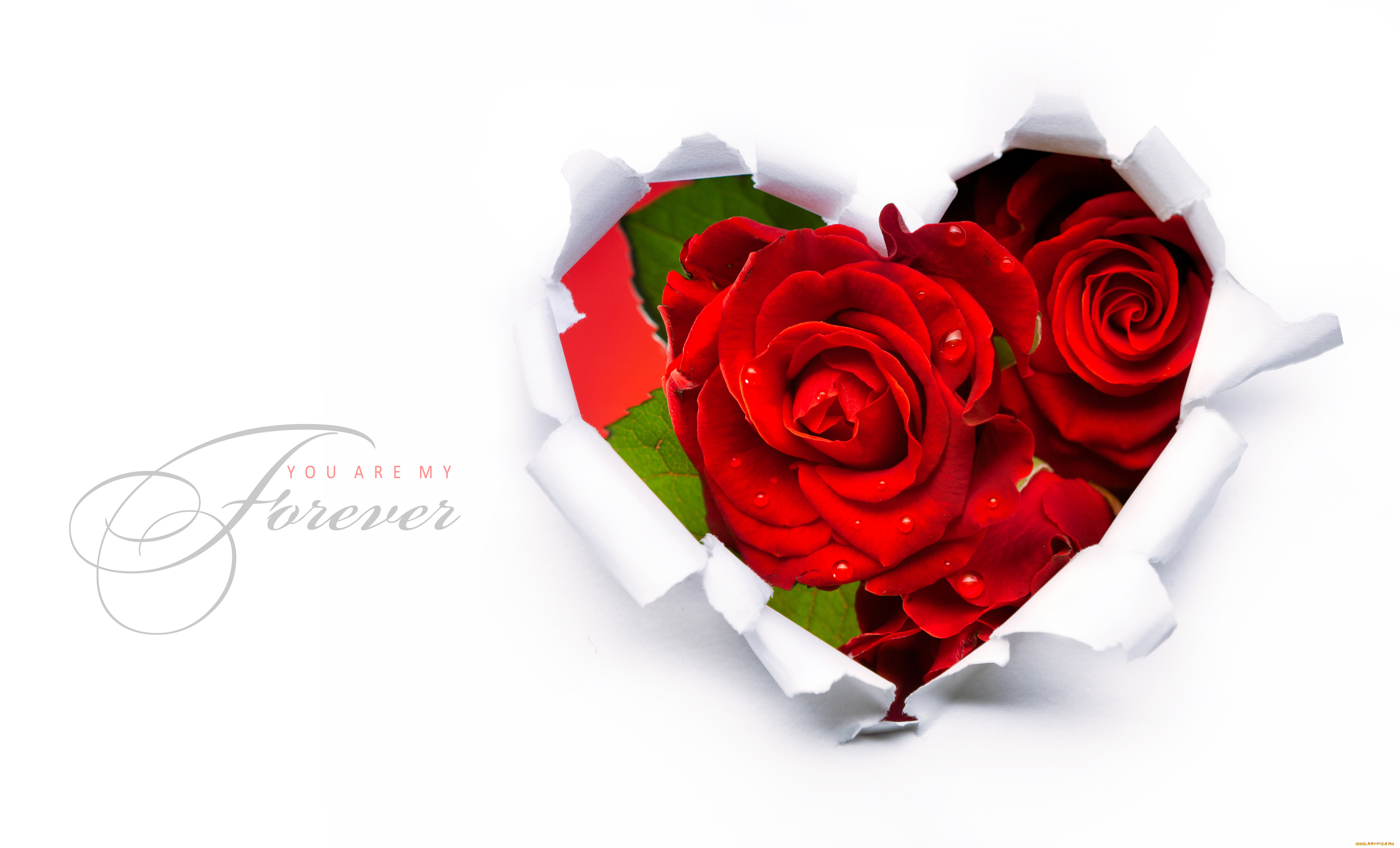 праздничные, день, св, валентина, сердечки, любовь, бумажное, сердце, розы, бумага