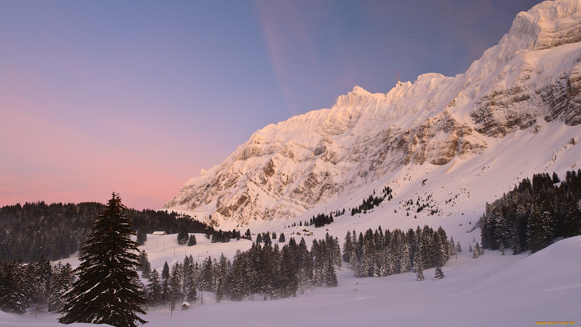 schwagalp, switzerland, природа, горы, швейцария, альпы, горный, перевал, alps, pass, снег, зима, ели