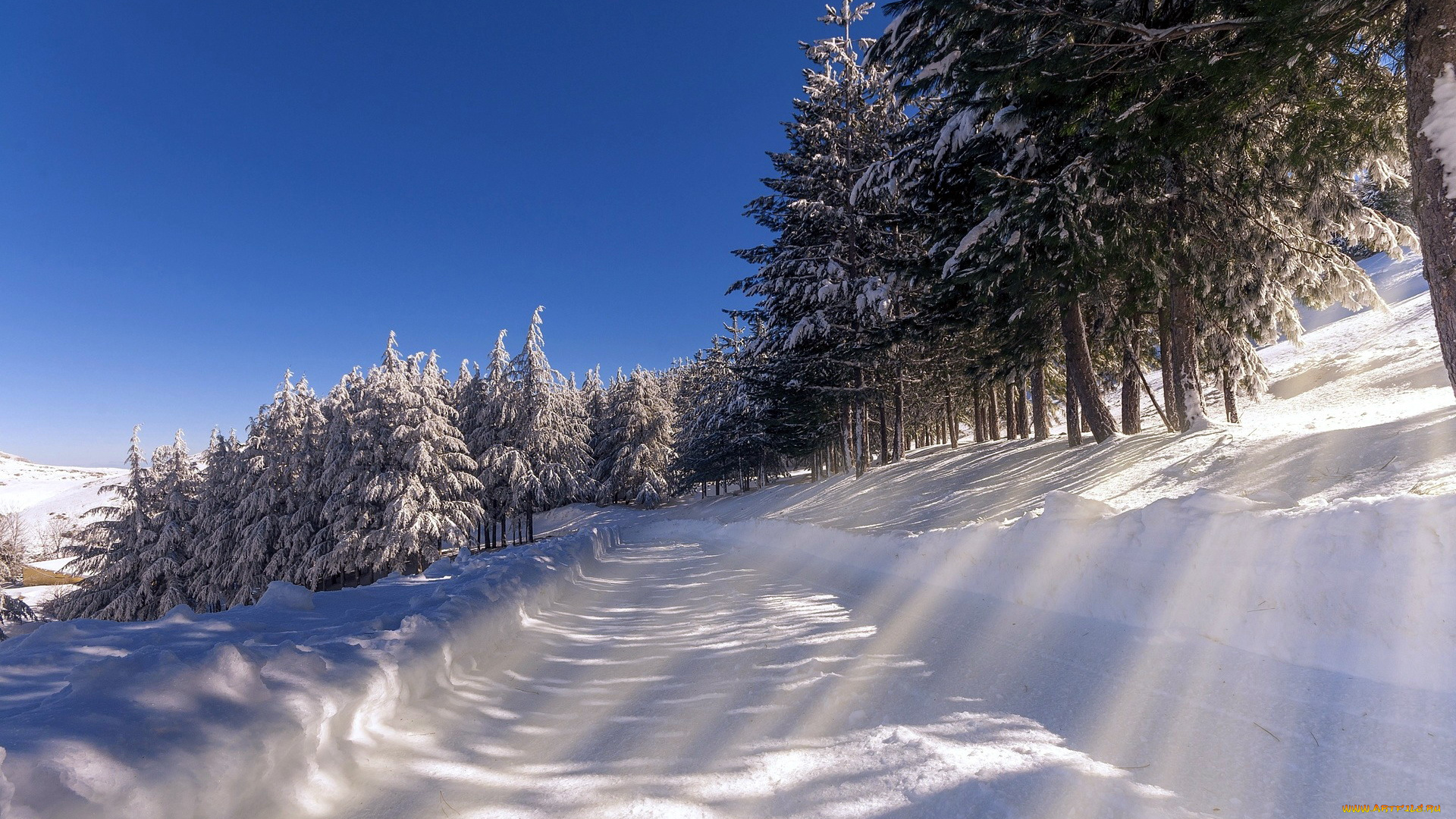 природа, зима, свет, снег, дорога, деревья